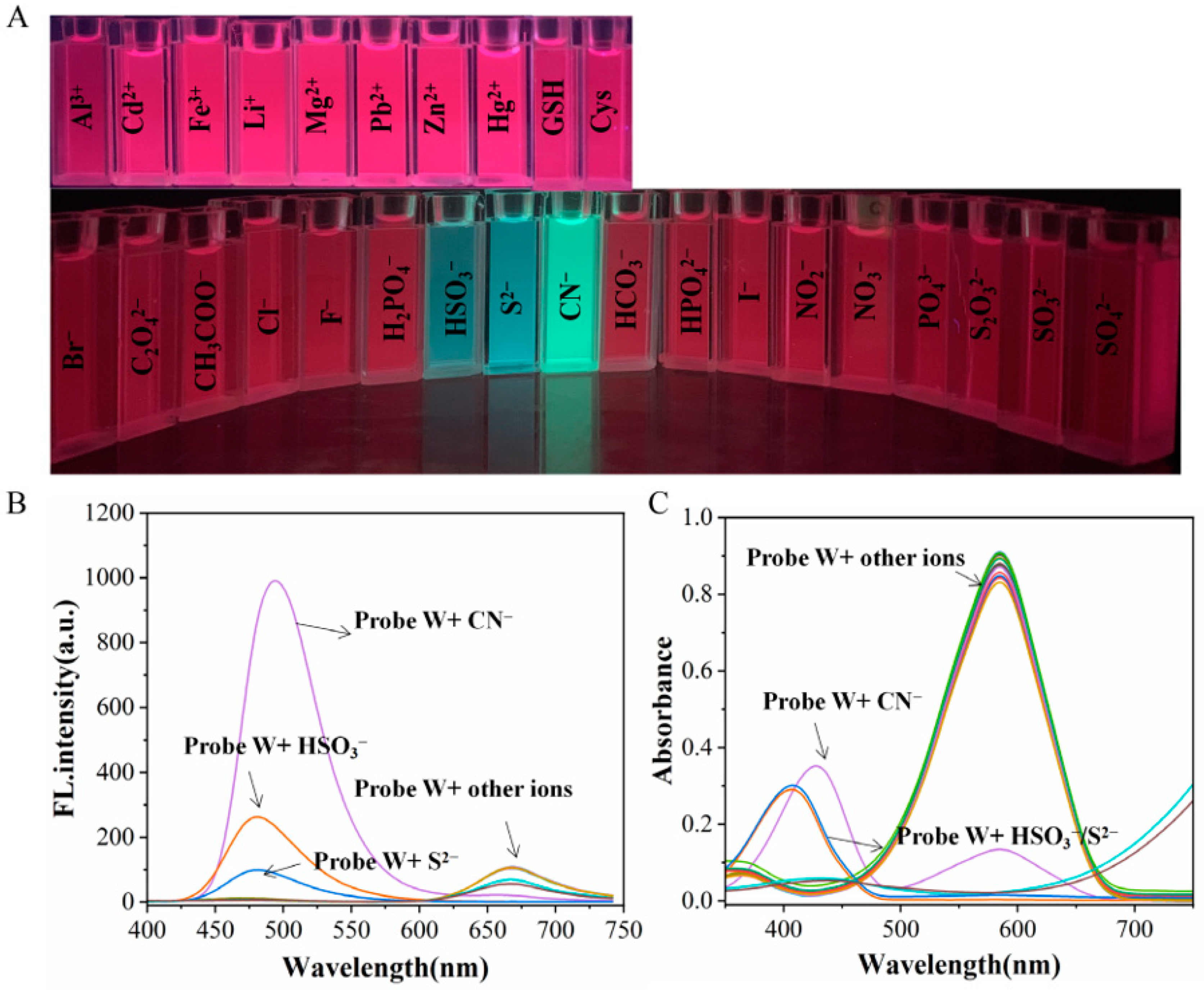 Molecules 29 00618 g004