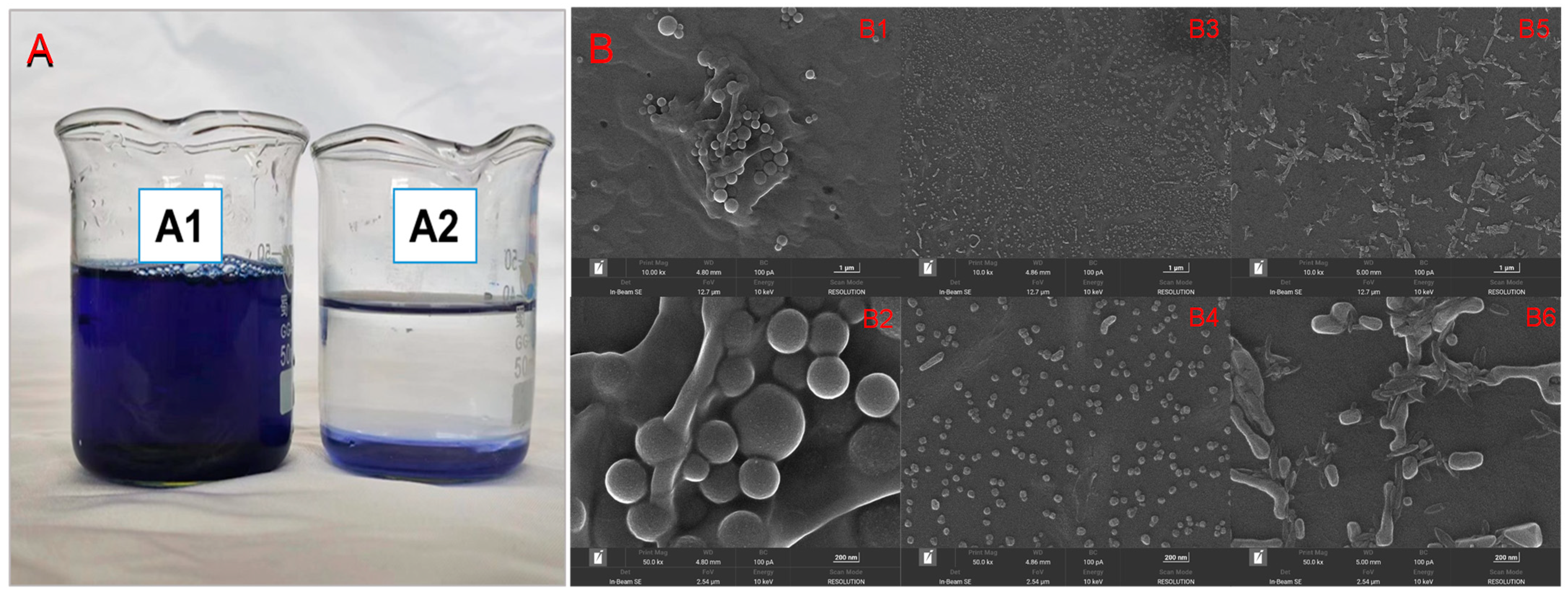 Molecules 29 00619 g008