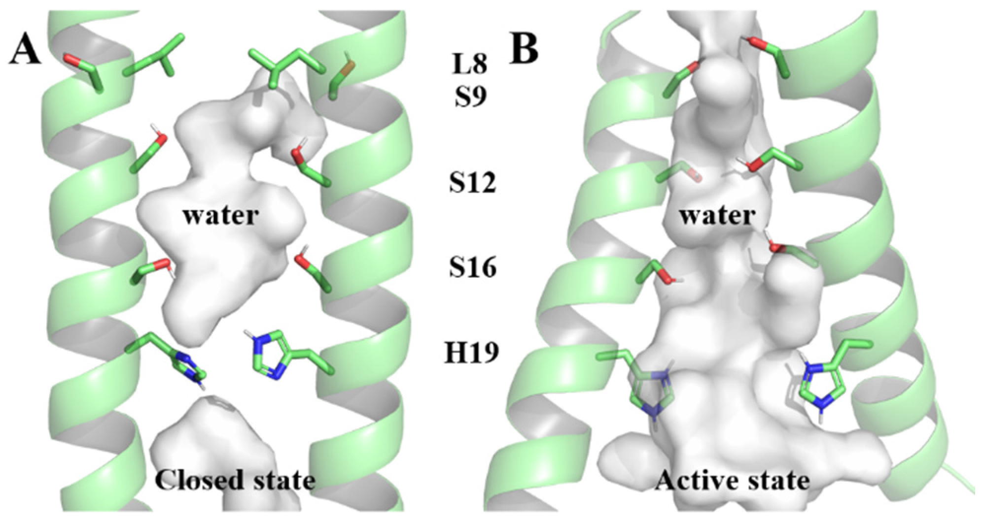 Molecules 29 00620 g001