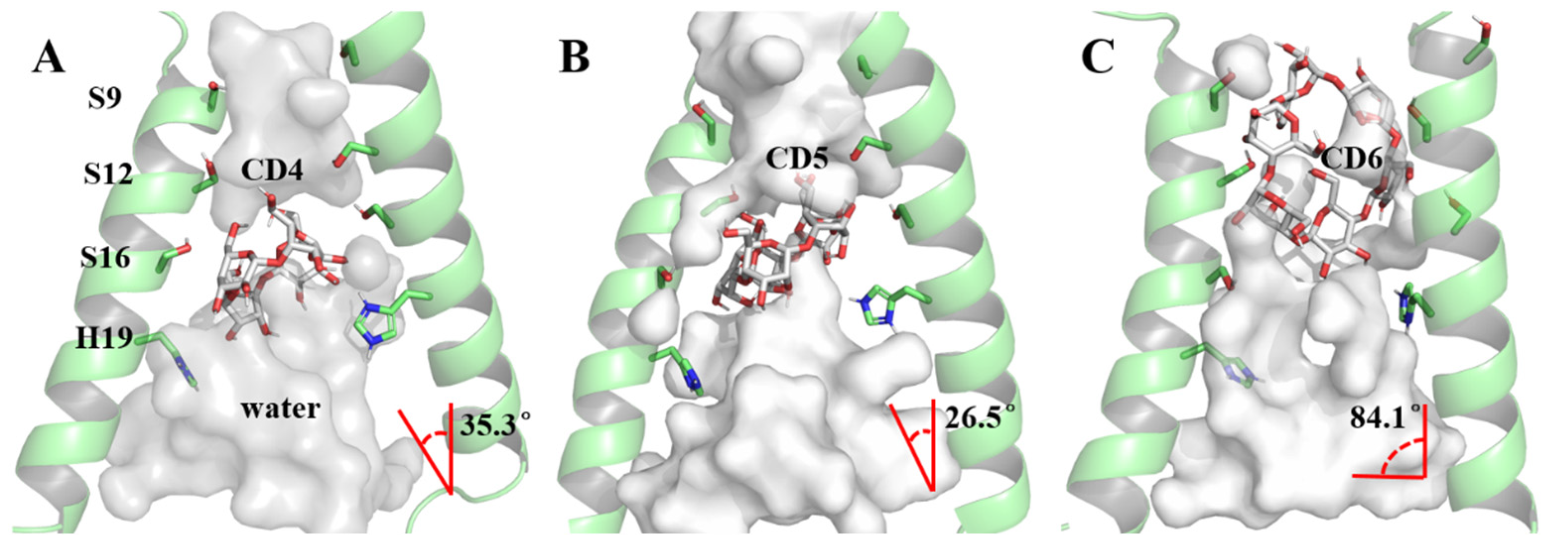 Molecules 29 00620 g005