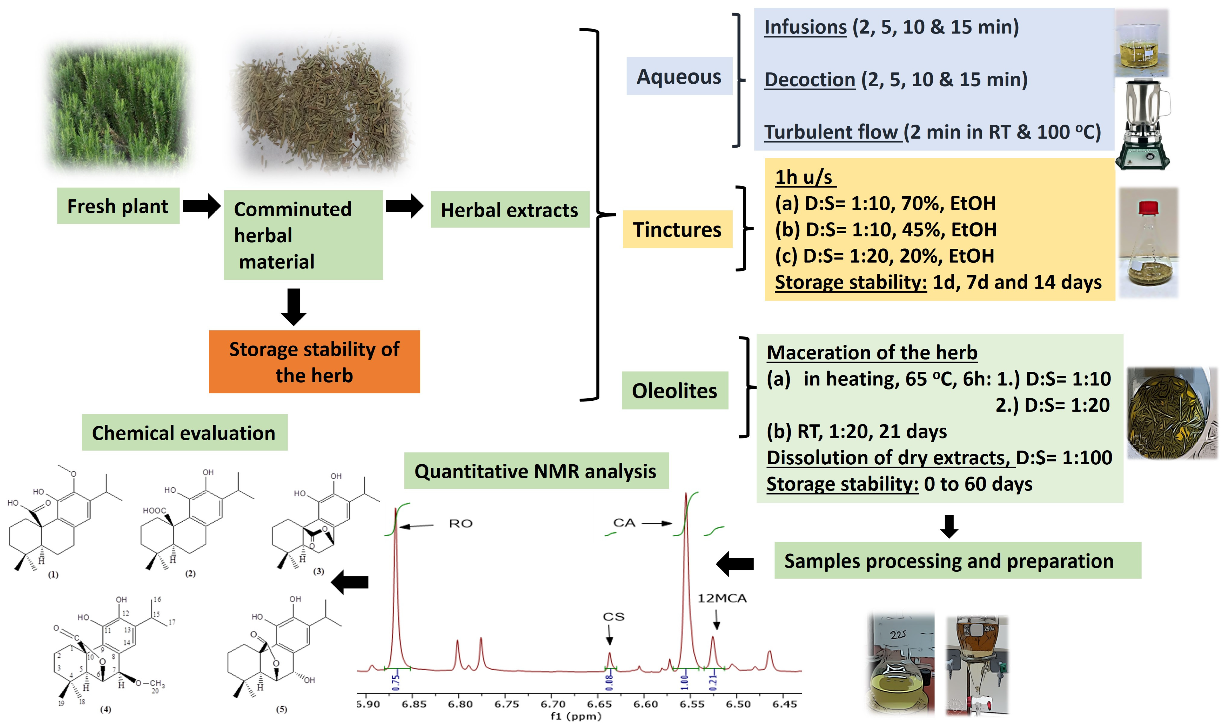 Molecules 29 00625 g001