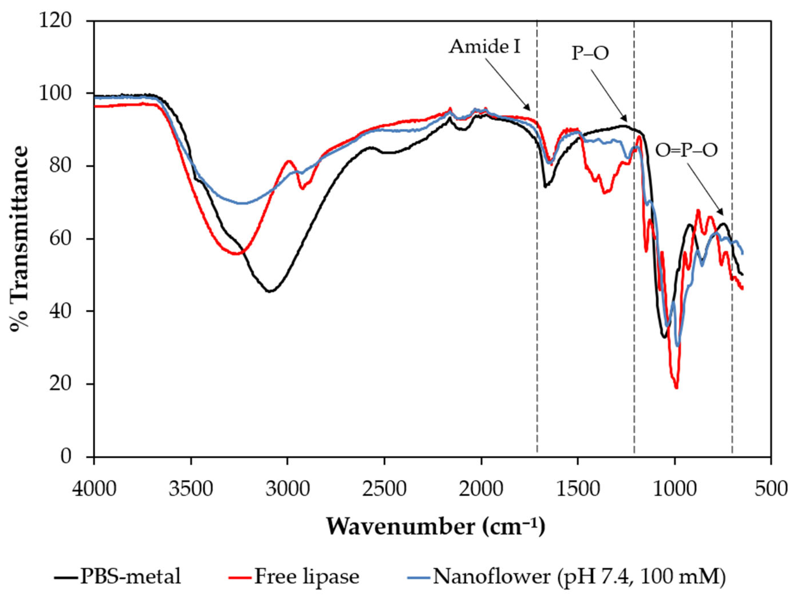 Molecules 29 00628 g006