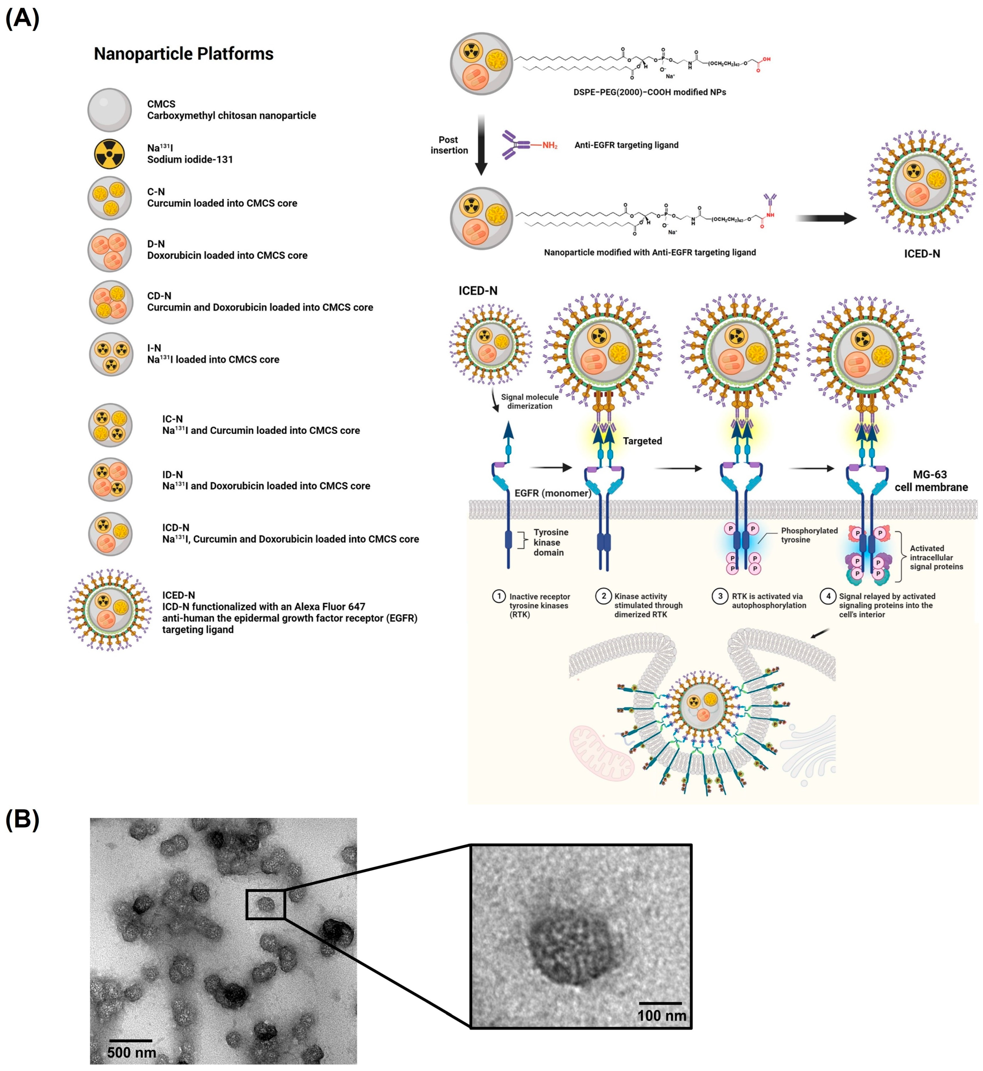 Molecules 29 00630 g001