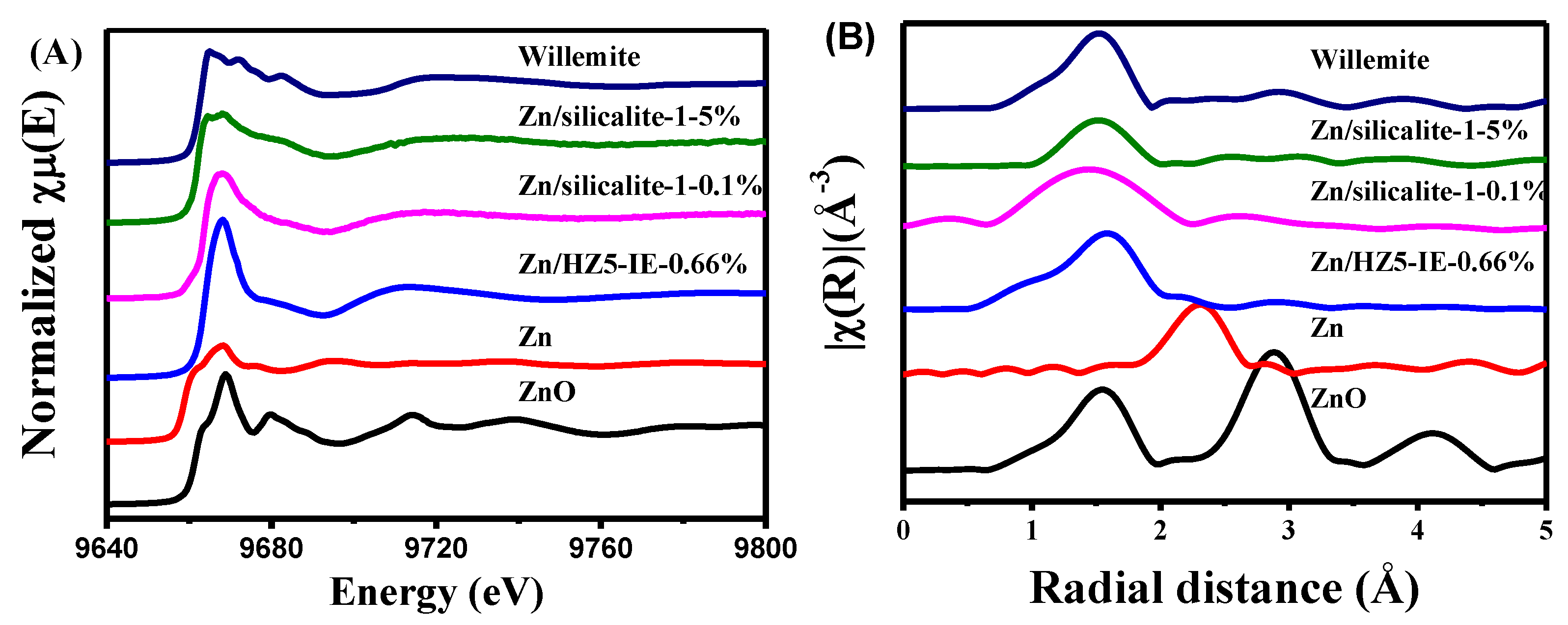 Molecules 29 00631 g005