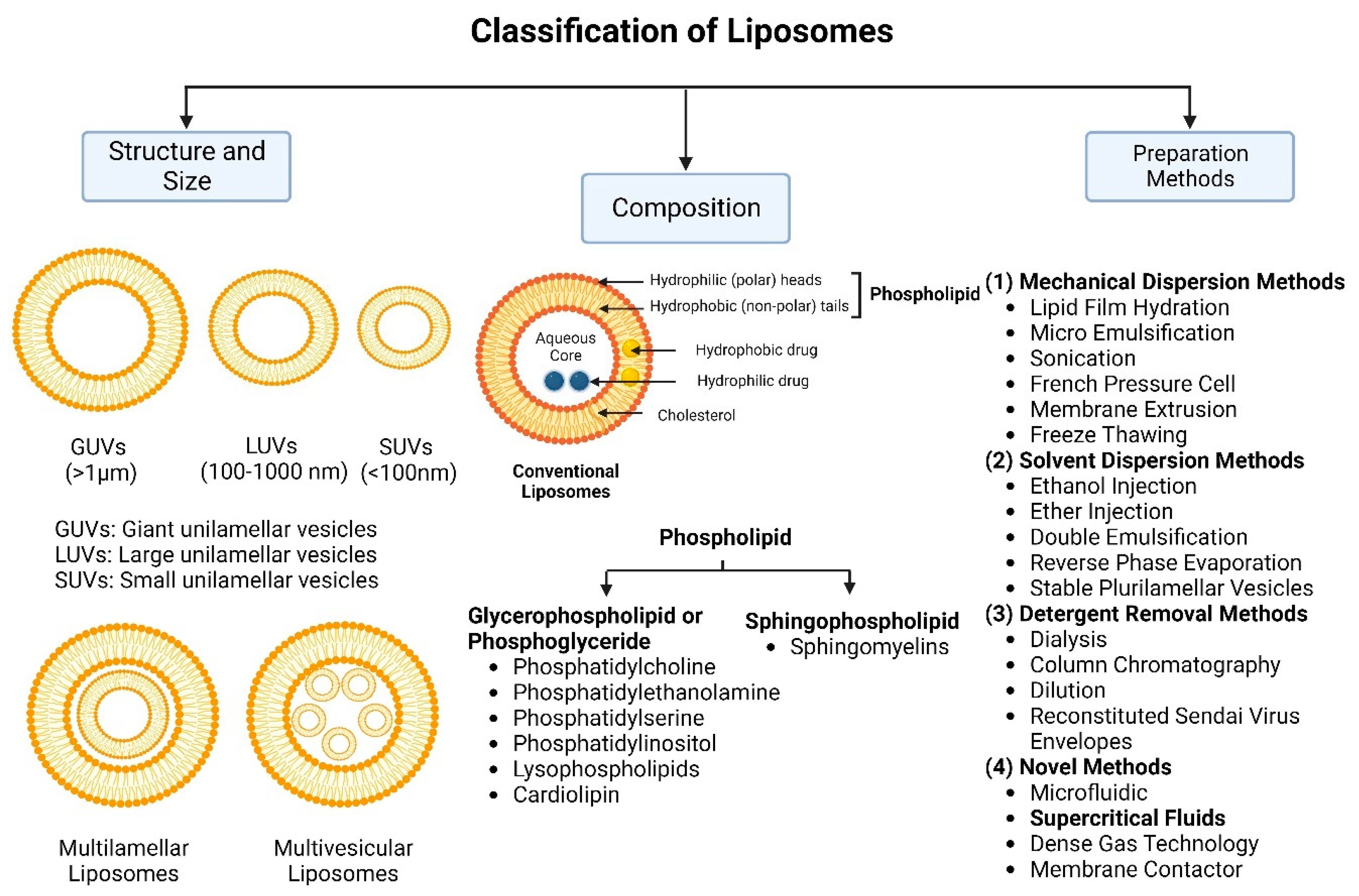 Molecules 29 00636 g001