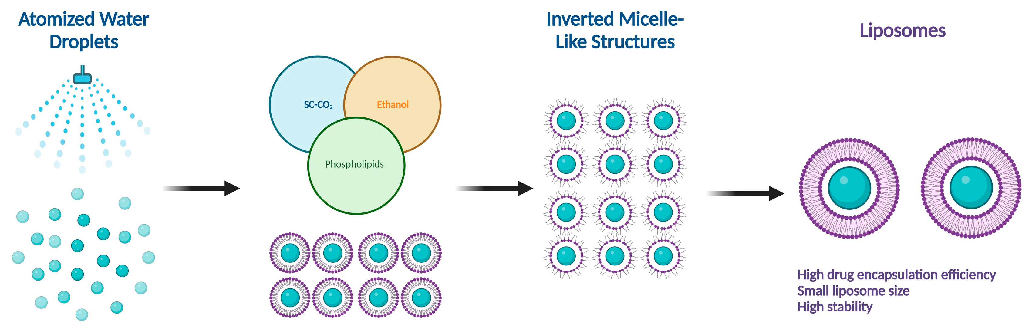 Molecules 29 00636 g002