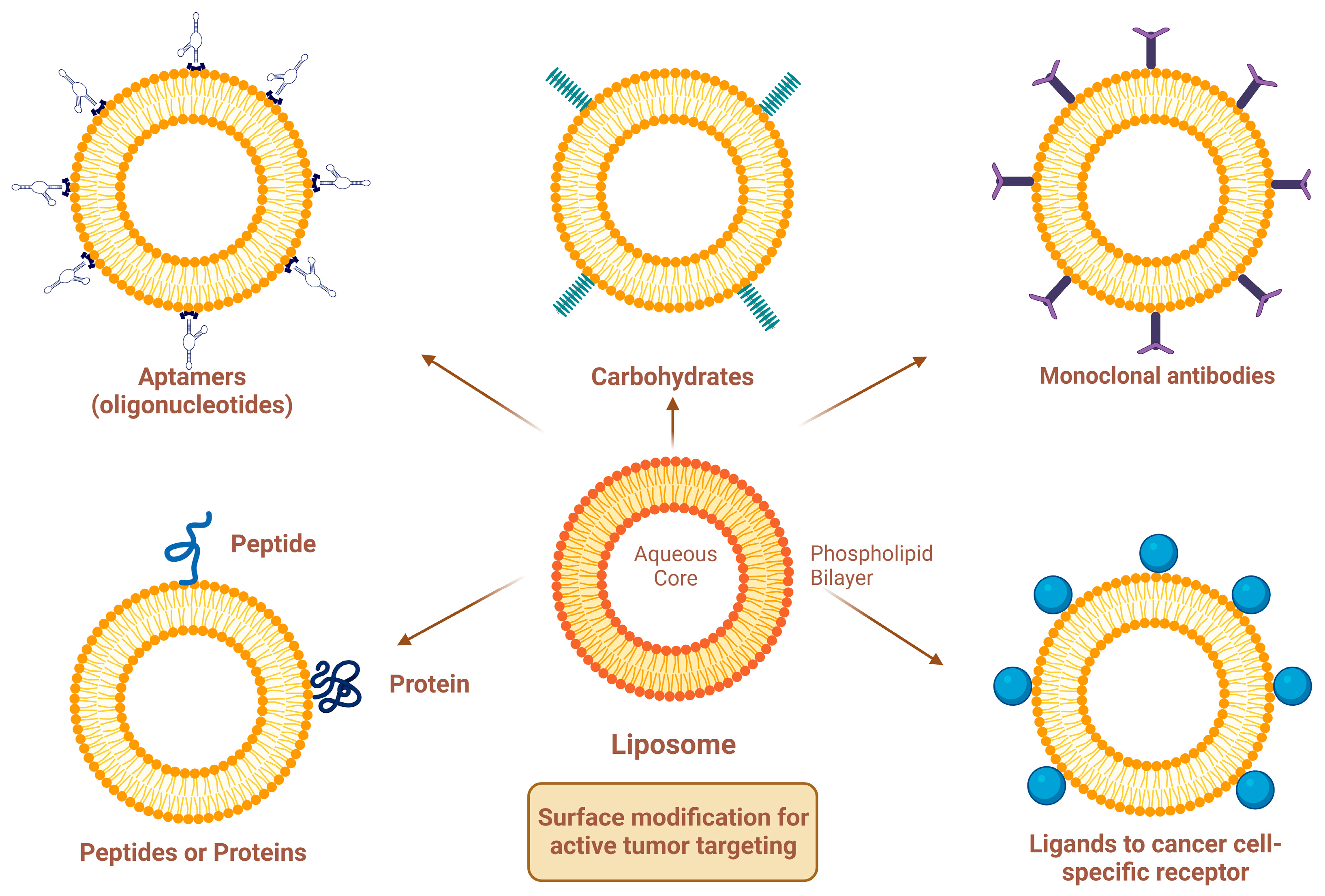 Molecules 29 00636 g003
