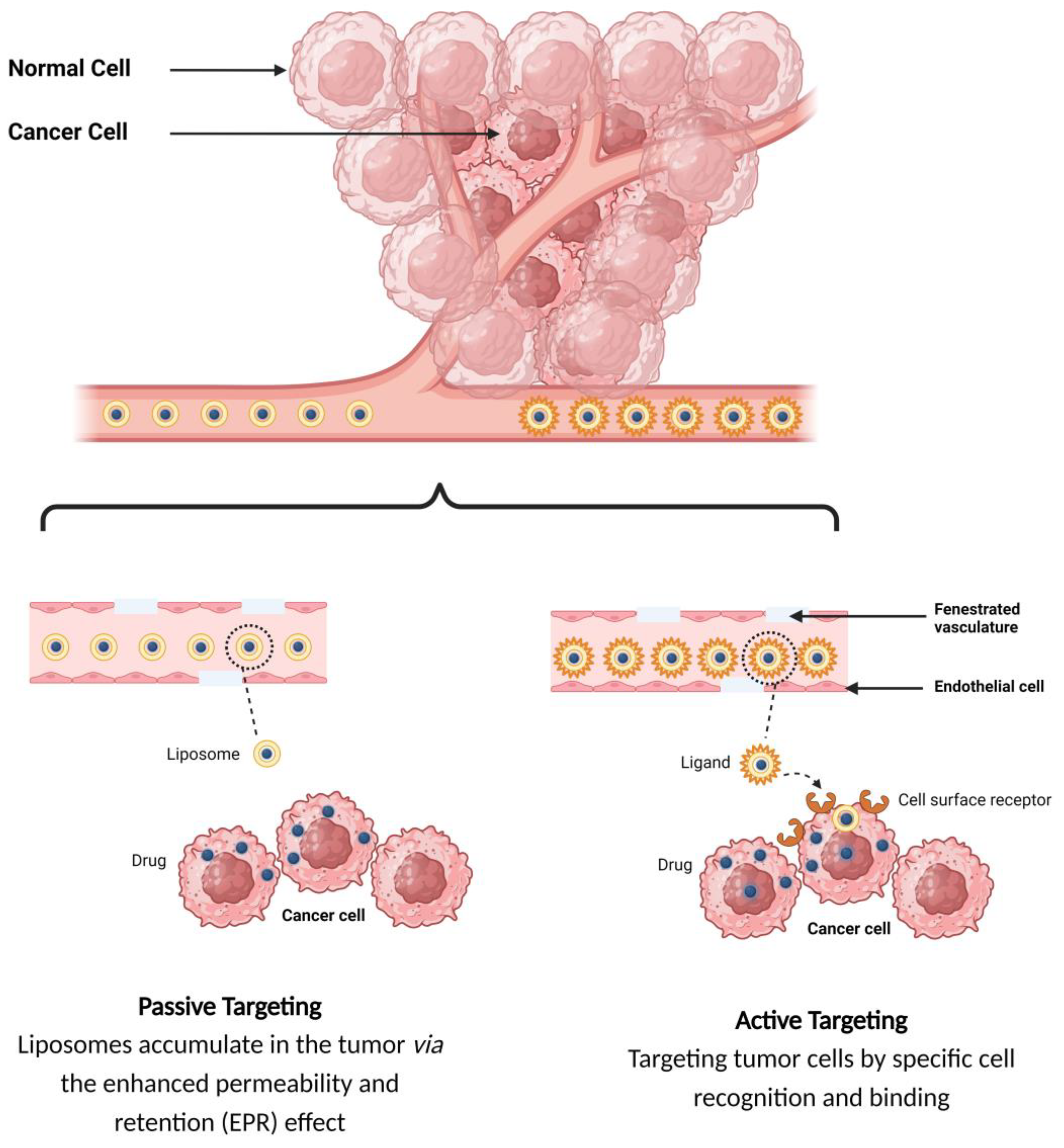 Molecules 29 00636 g004
