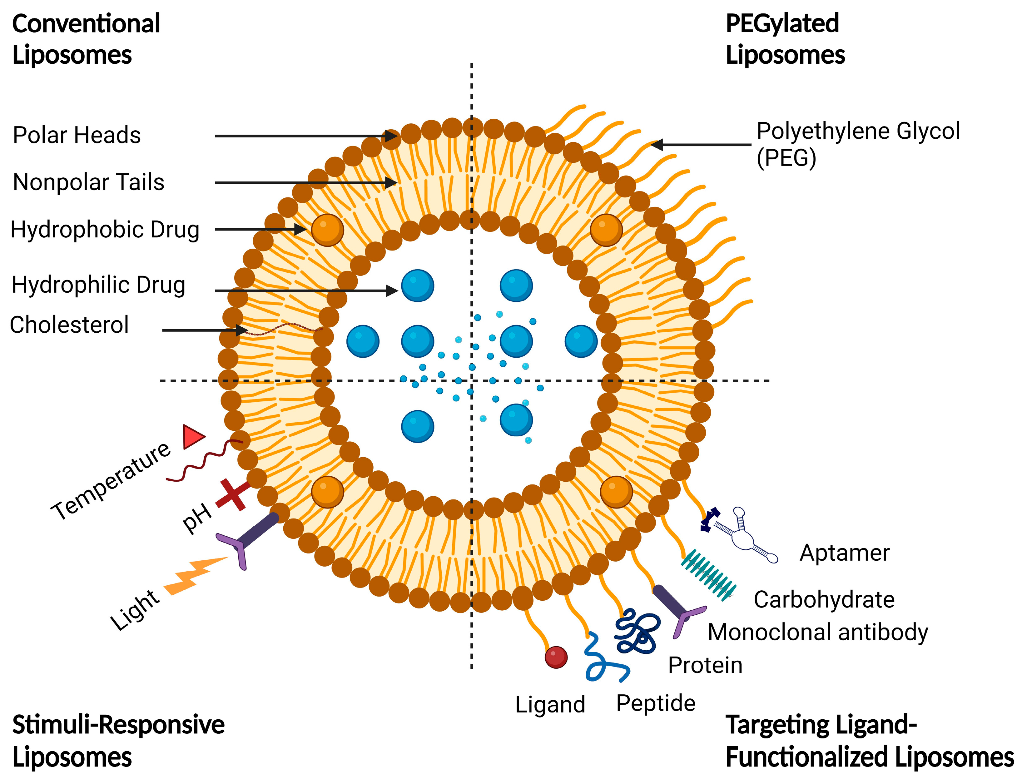Molecules 29 00636 g005