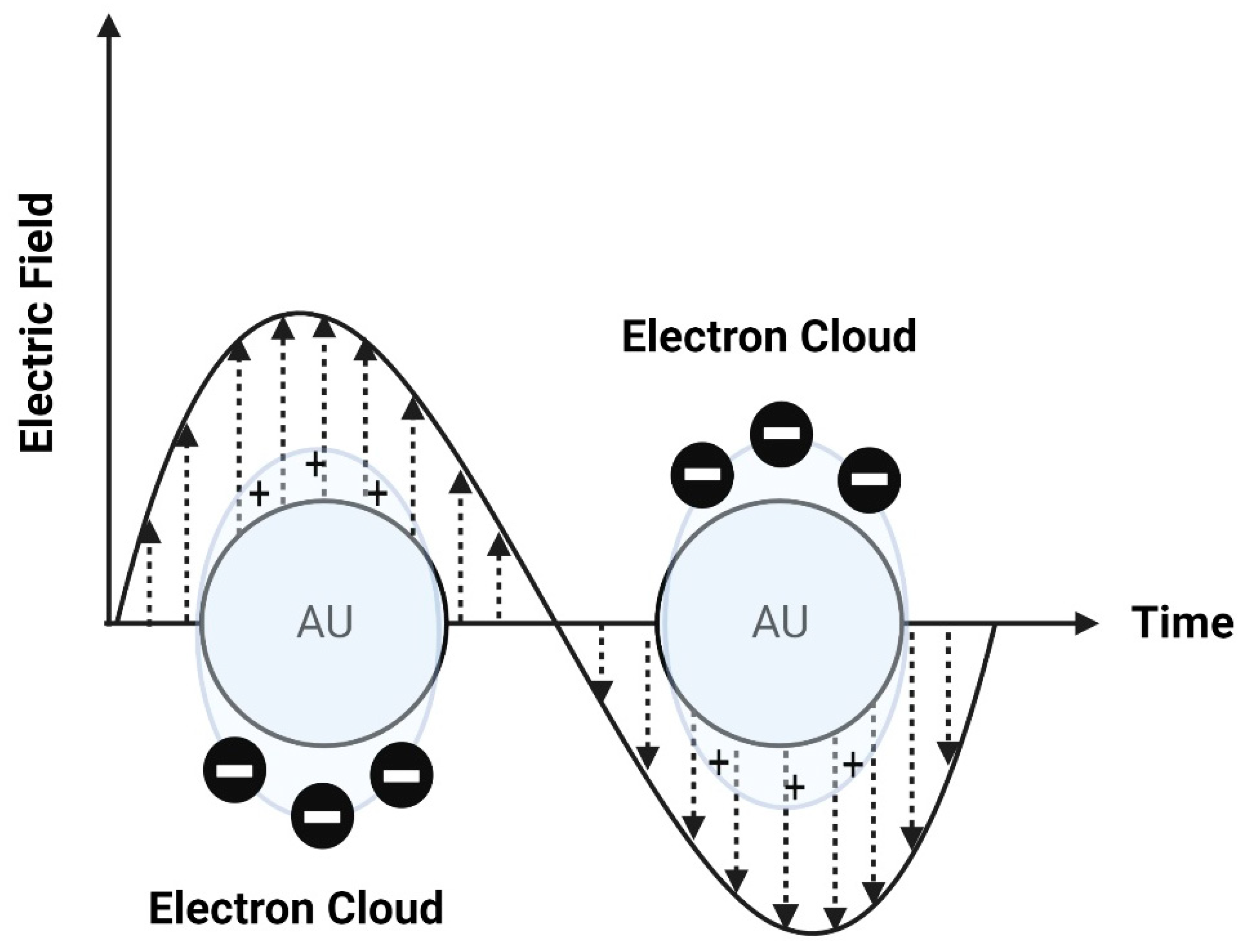 Molecules 29 00636 g009