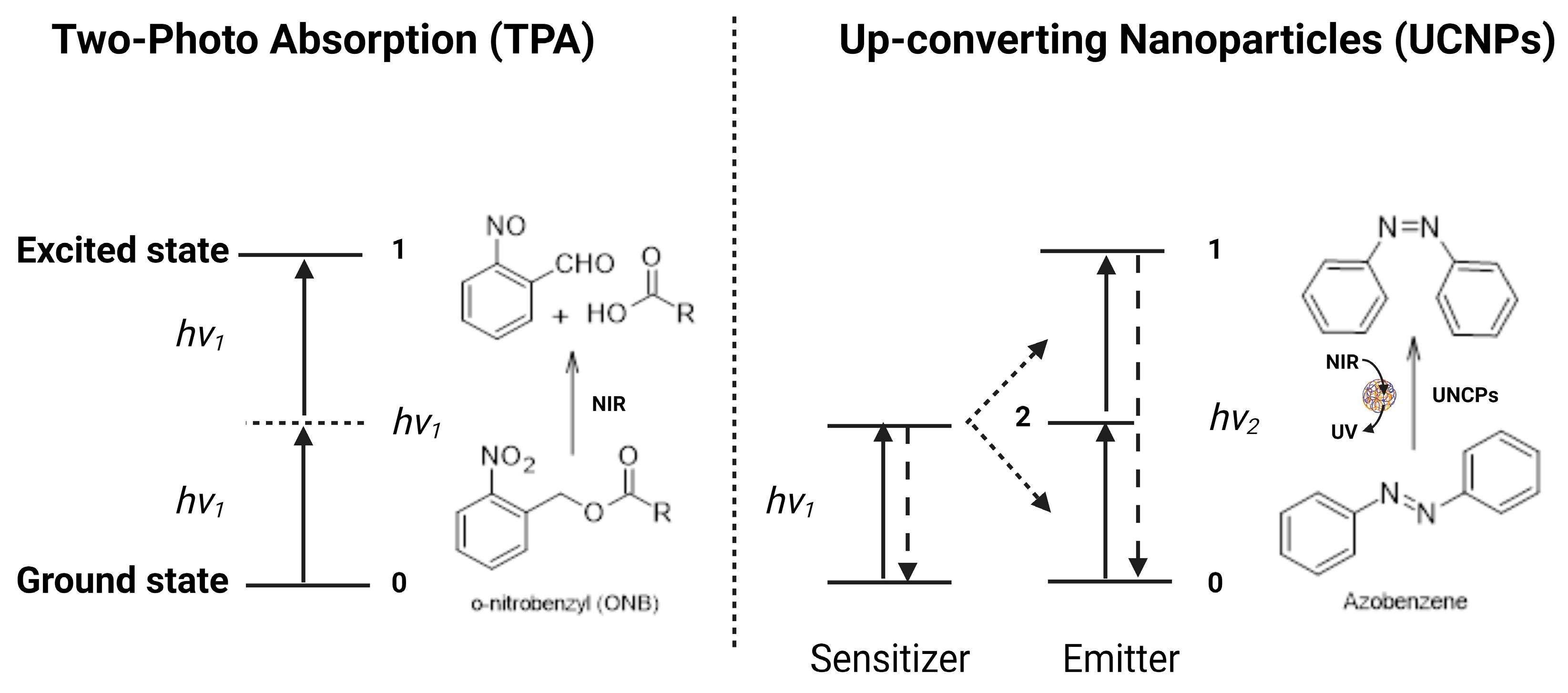 Molecules 29 00636 g010