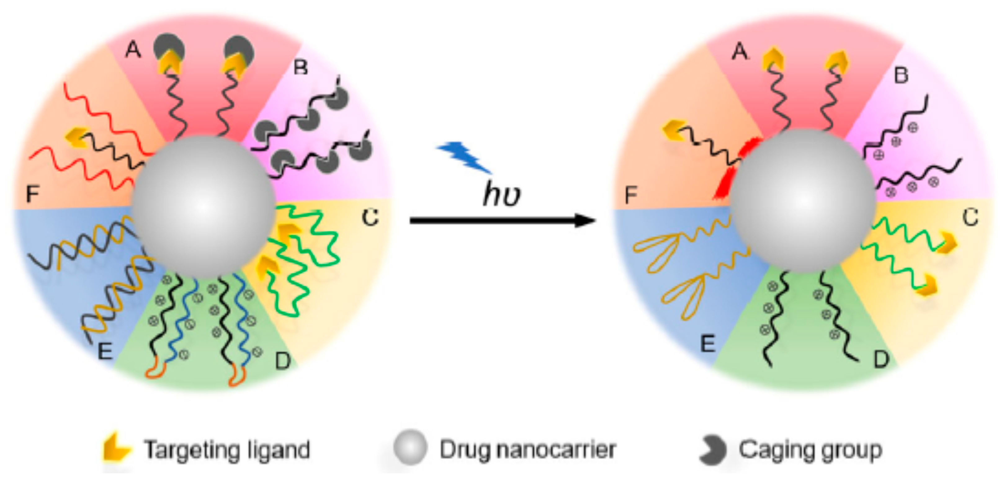 Molecules 29 00636 g011