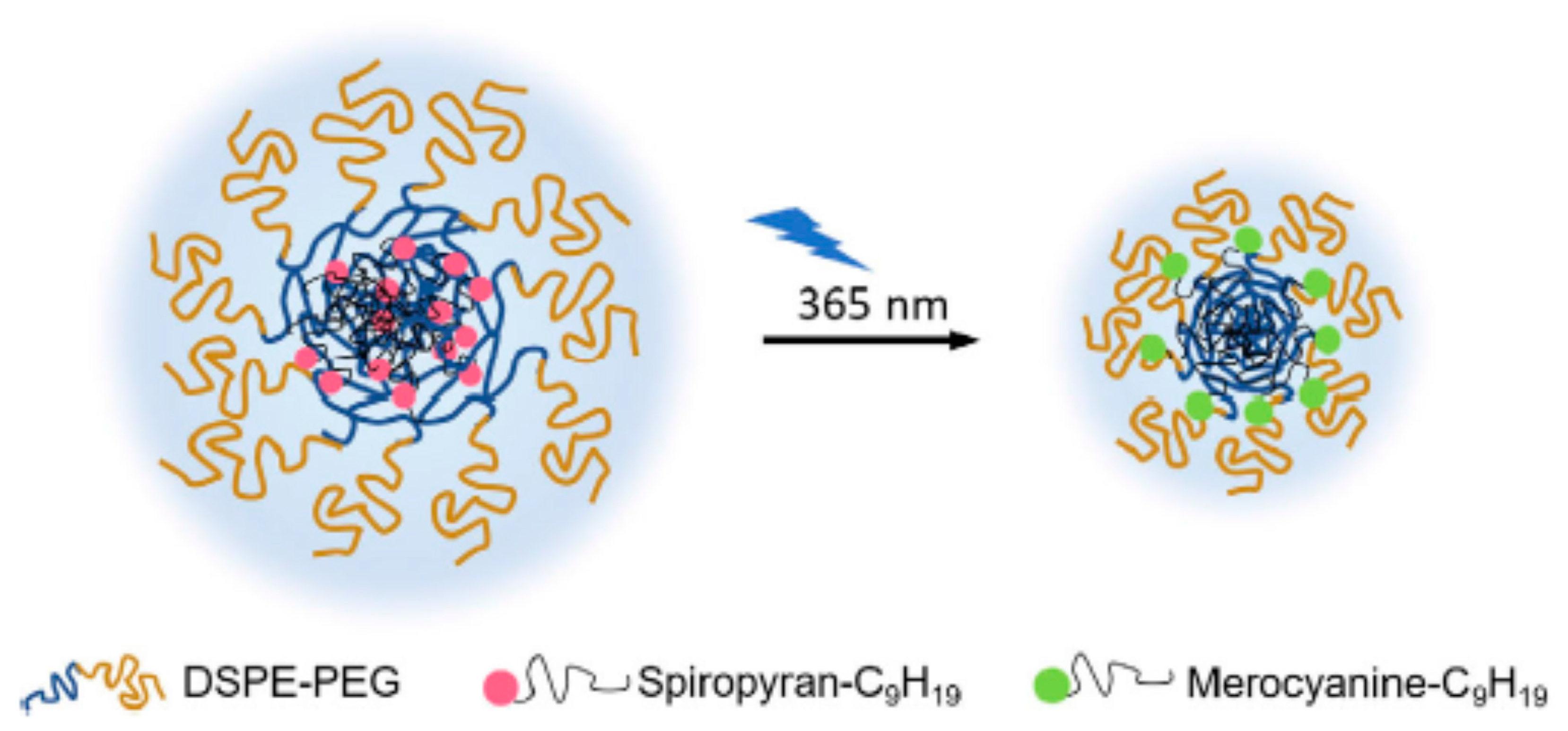 Molecules 29 00636 g012