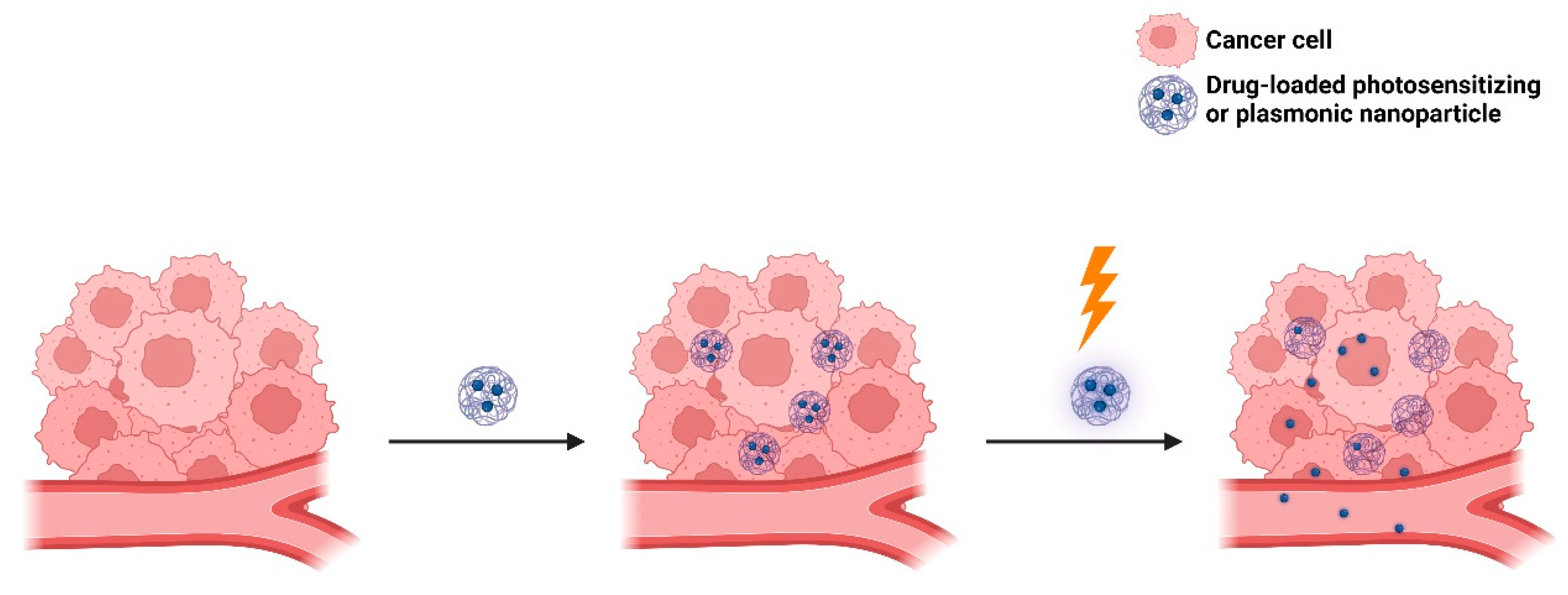 Molecules 29 00636 g013