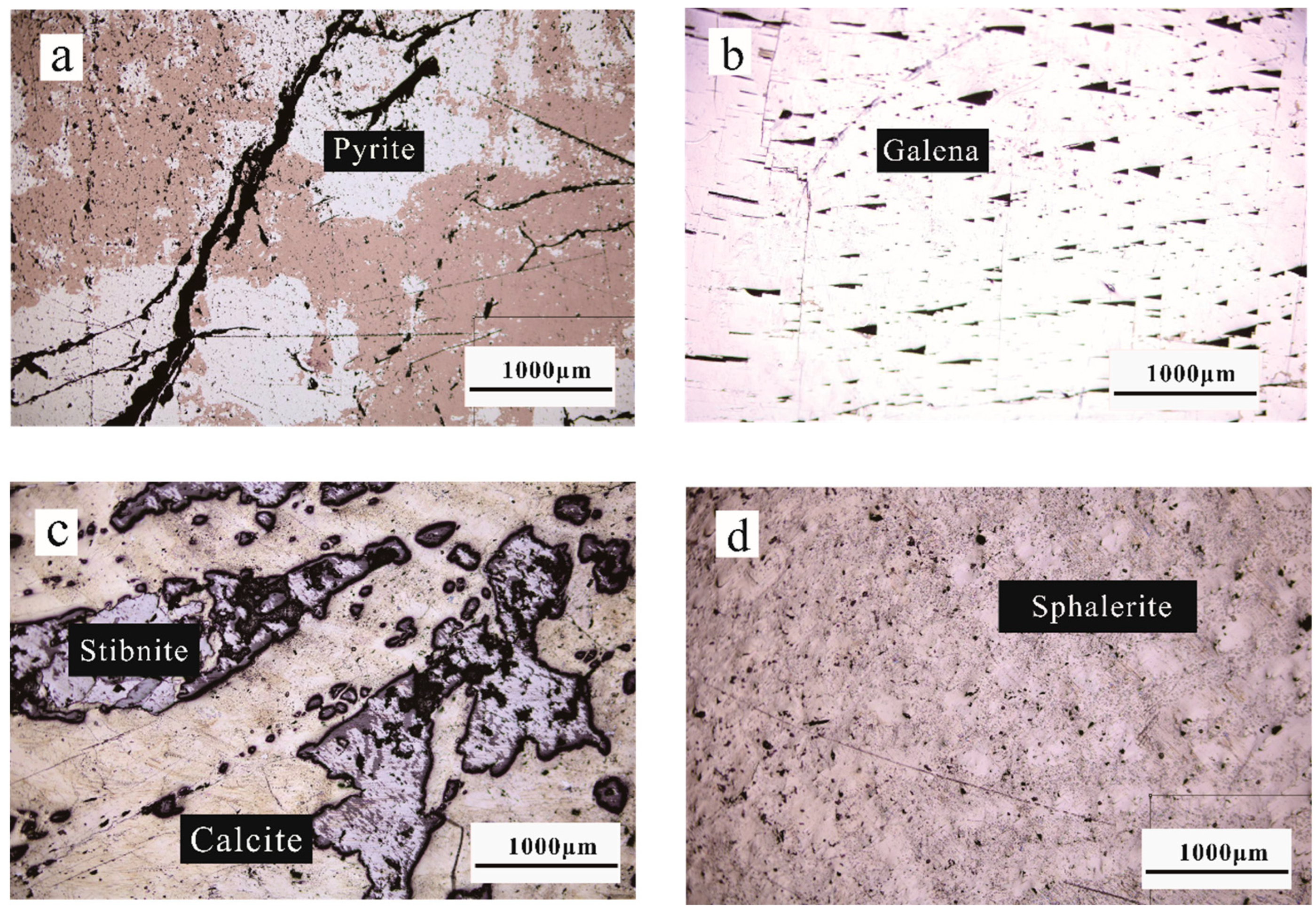 Molecules 29 00648 g001