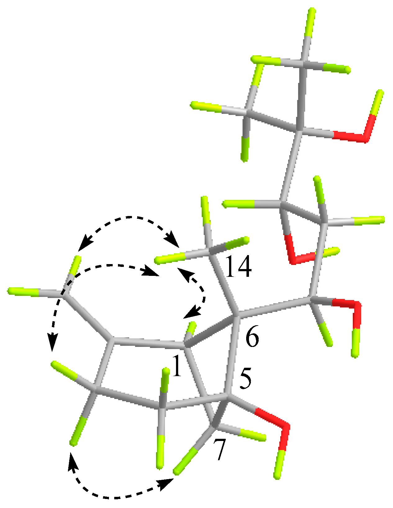 Molecules 29 00649 g003