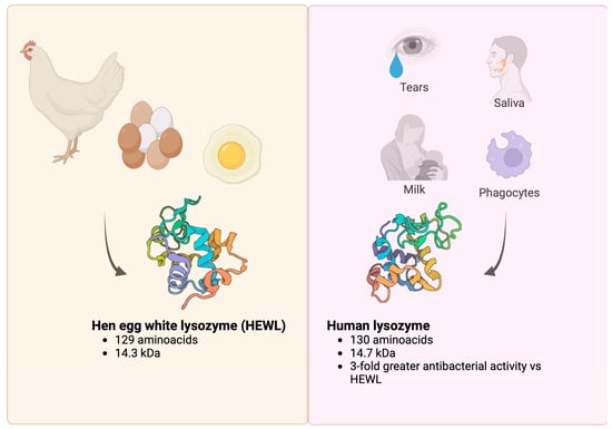 Molecules 29 00652 g001