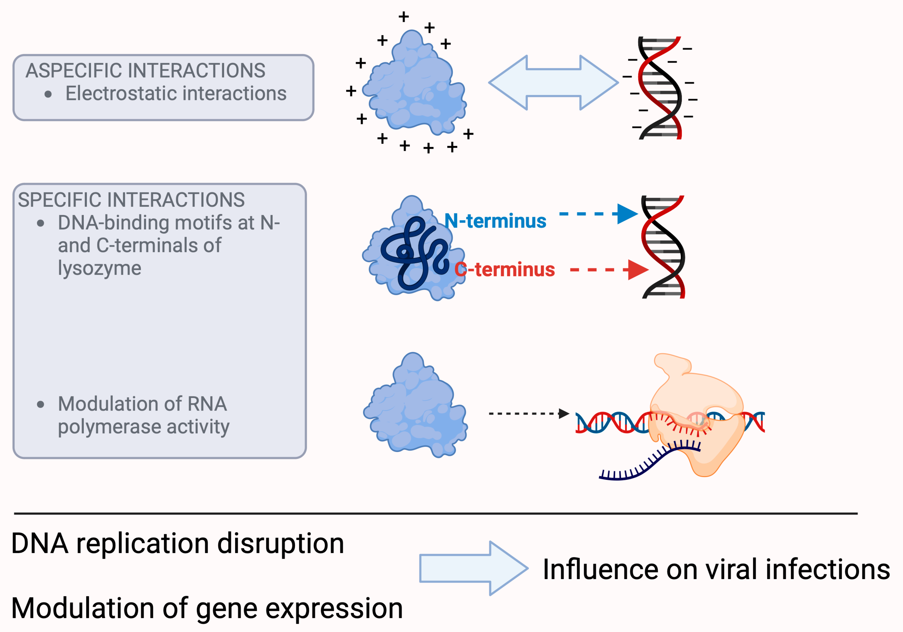 Molecules 29 00652 g003