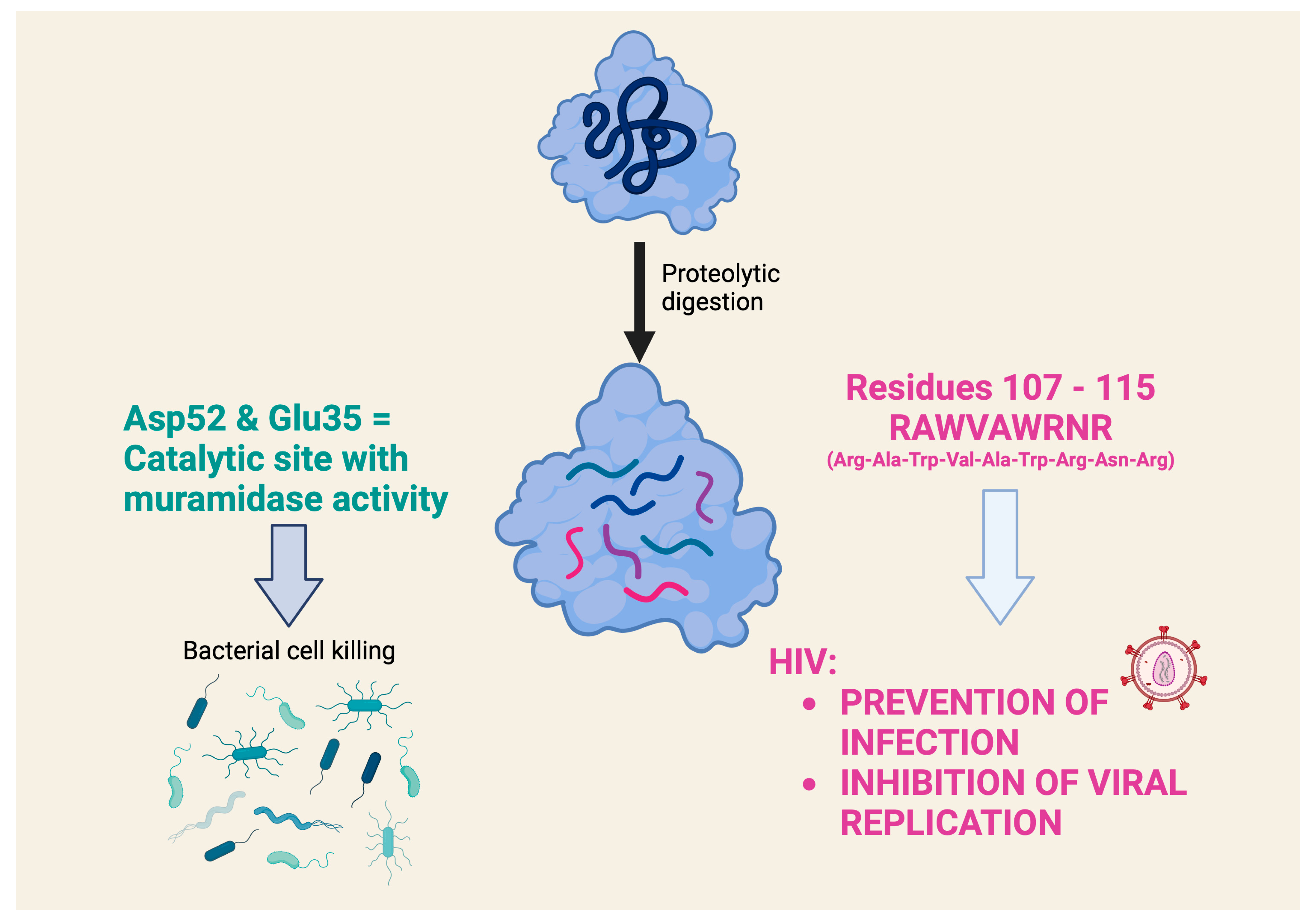 Molecules 29 00652 g004