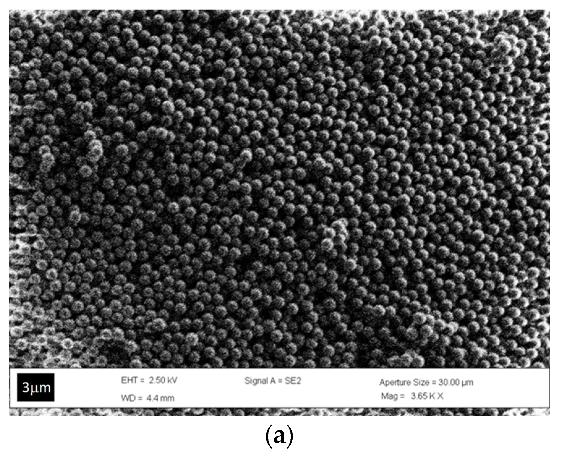 Molecules 29 00654 g002a