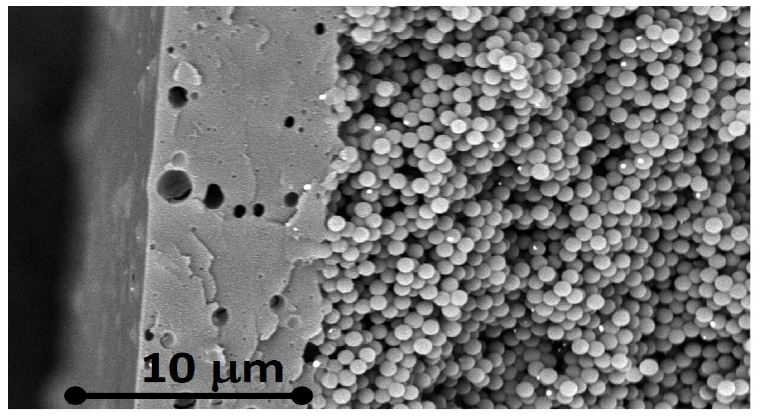 Molecules 29 00654 g004
