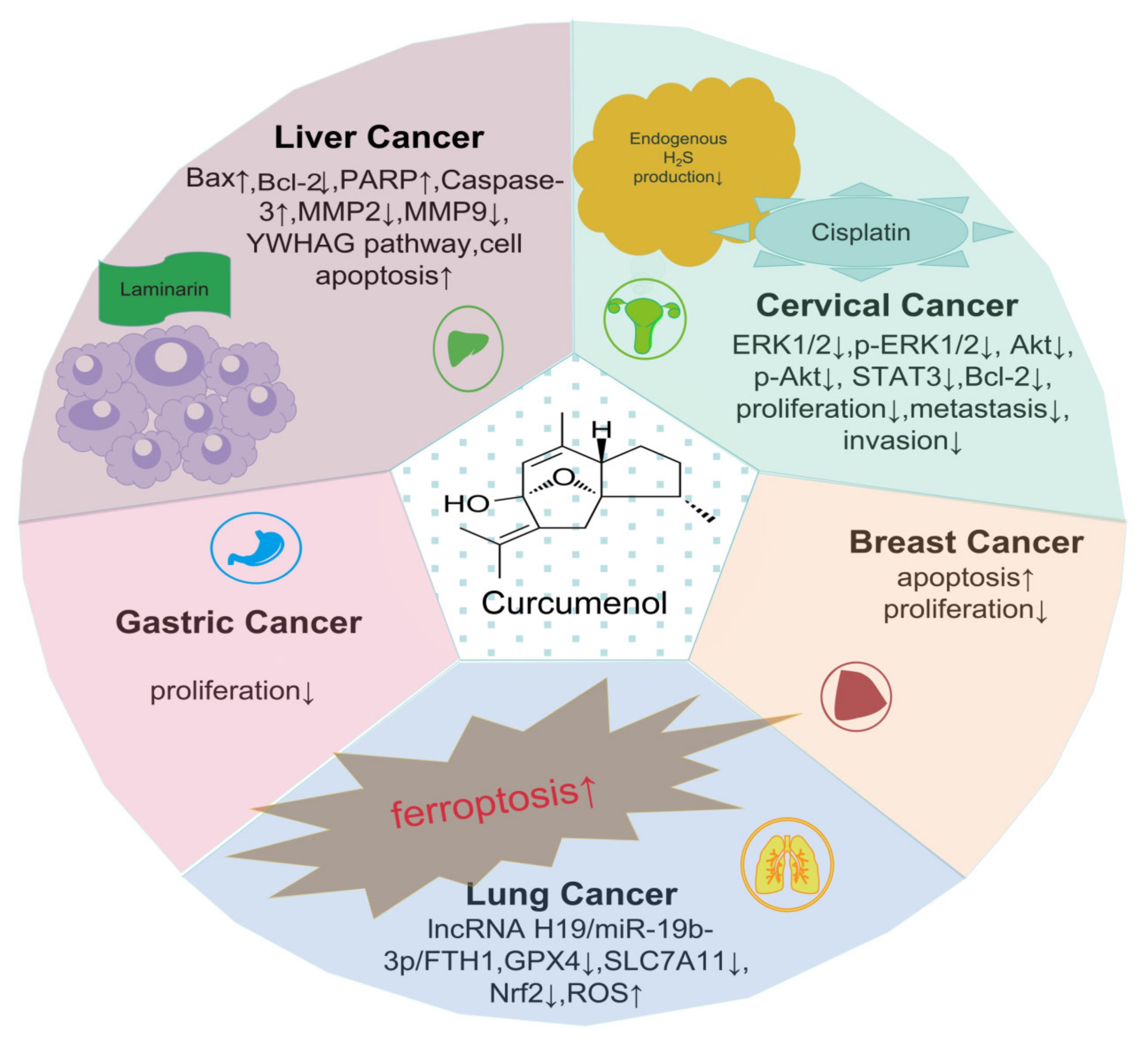 Molecules 29 00656 g002