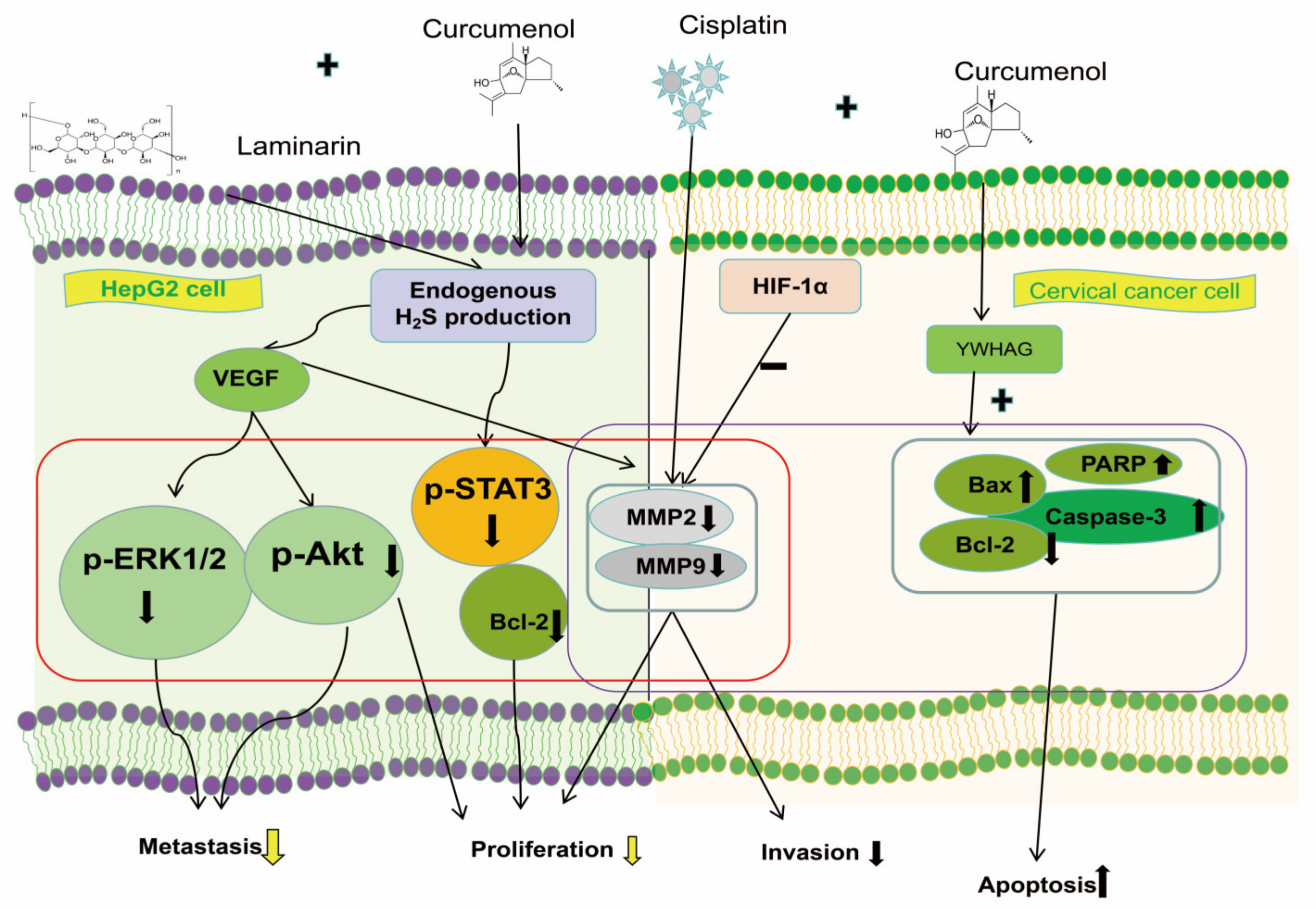 Molecules 29 00656 g003