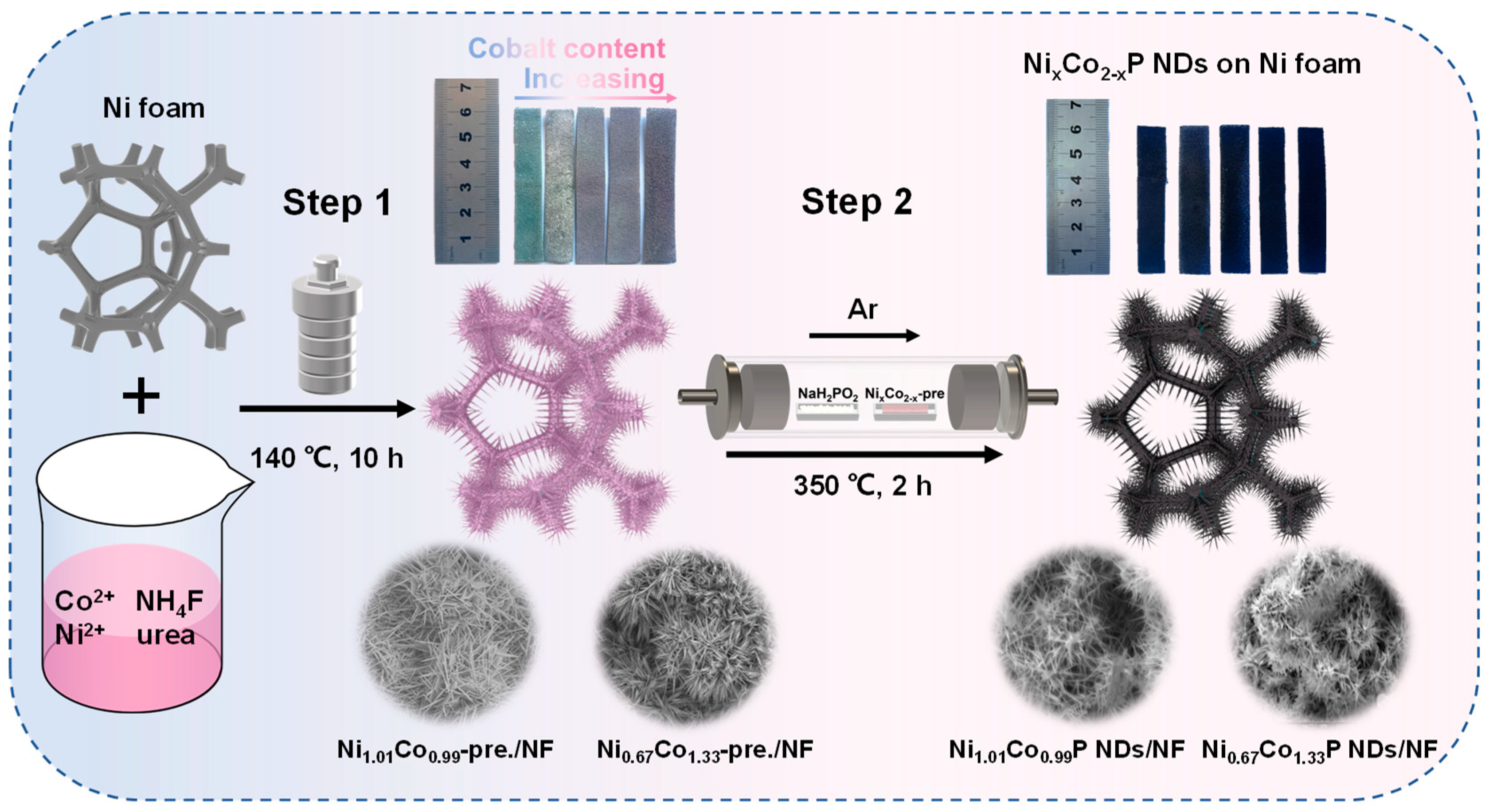 Molecules 29 00657 g001