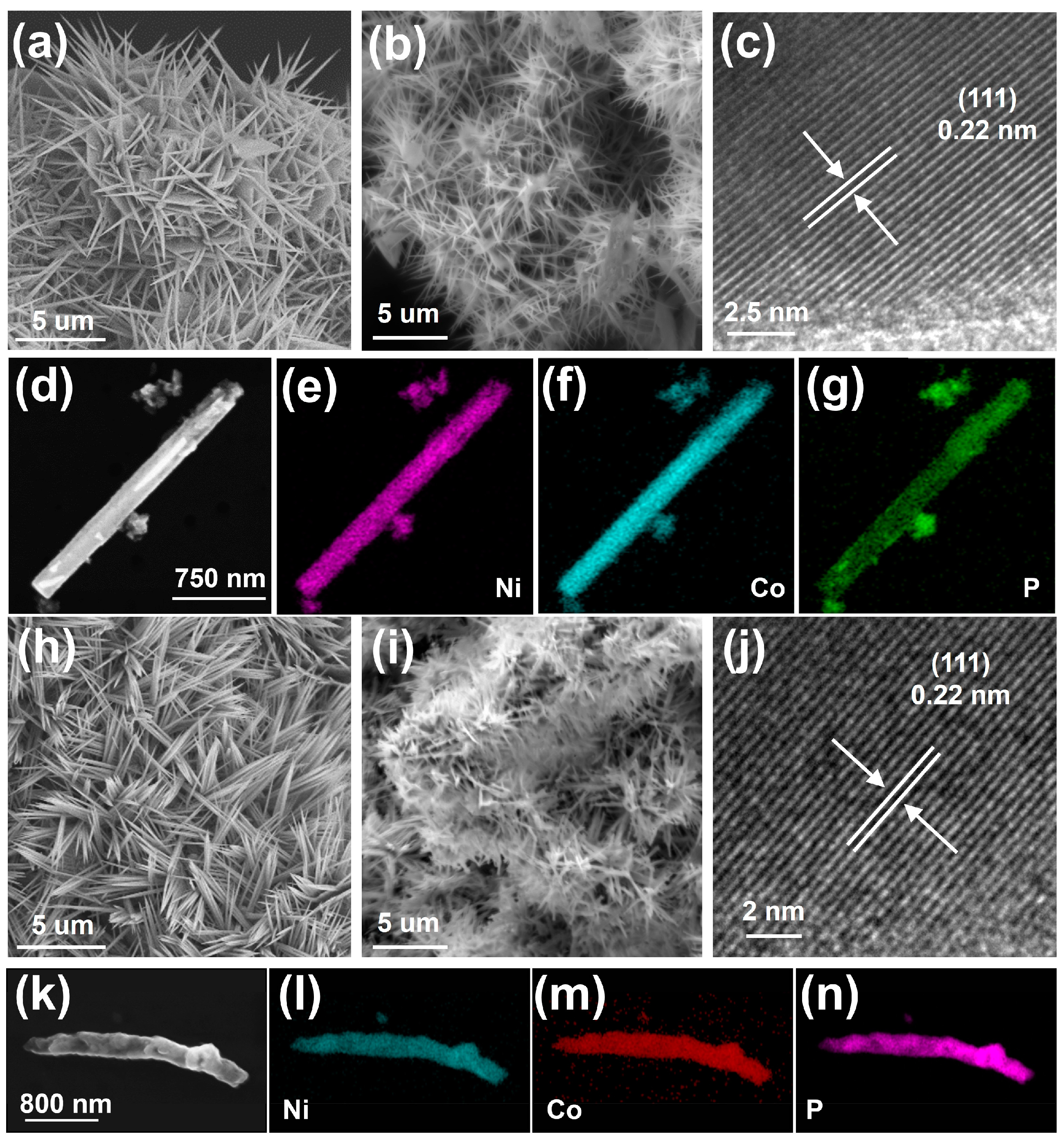Molecules 29 00657 g003
