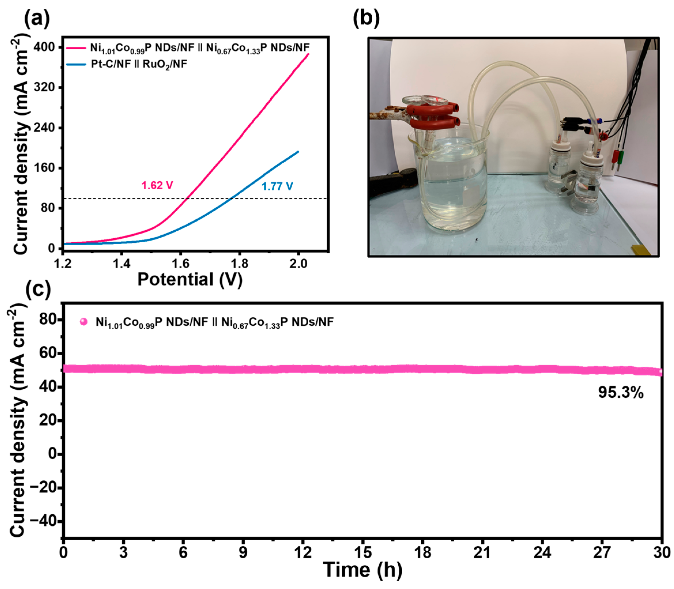 Molecules 29 00657 g006