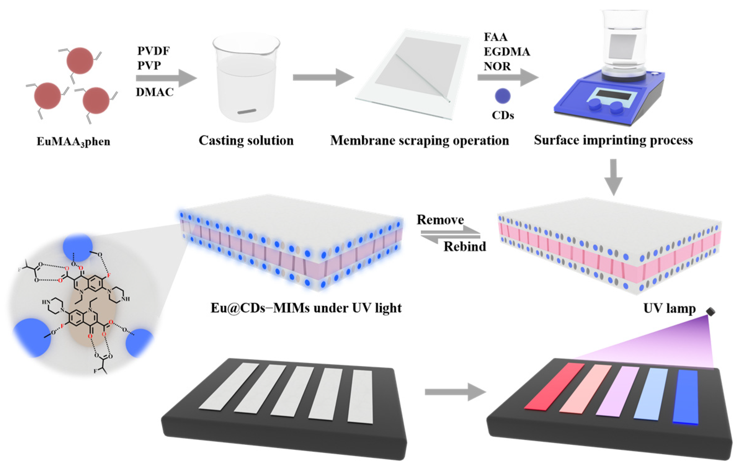 Molecules 29 00661 g001