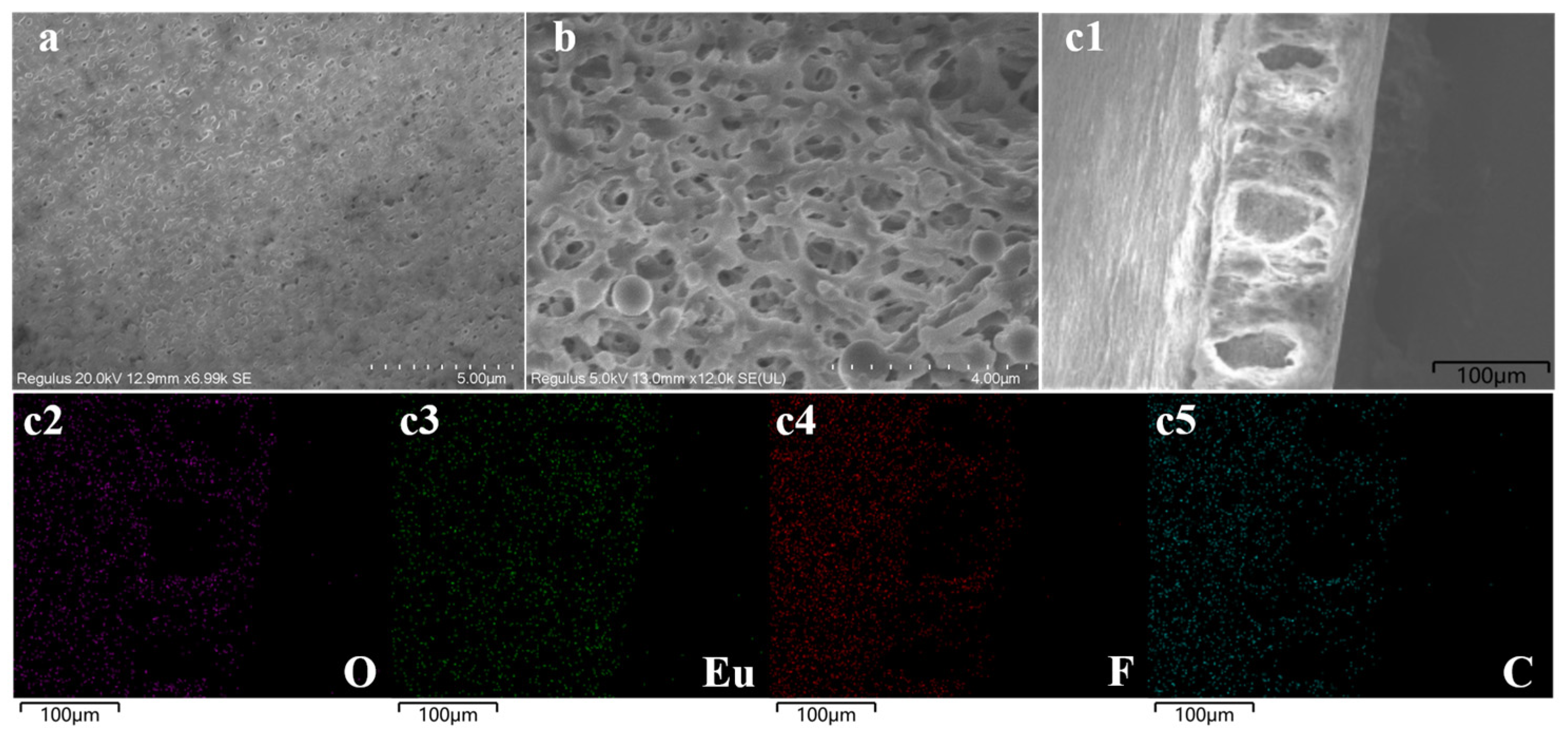 Molecules 29 00661 g003