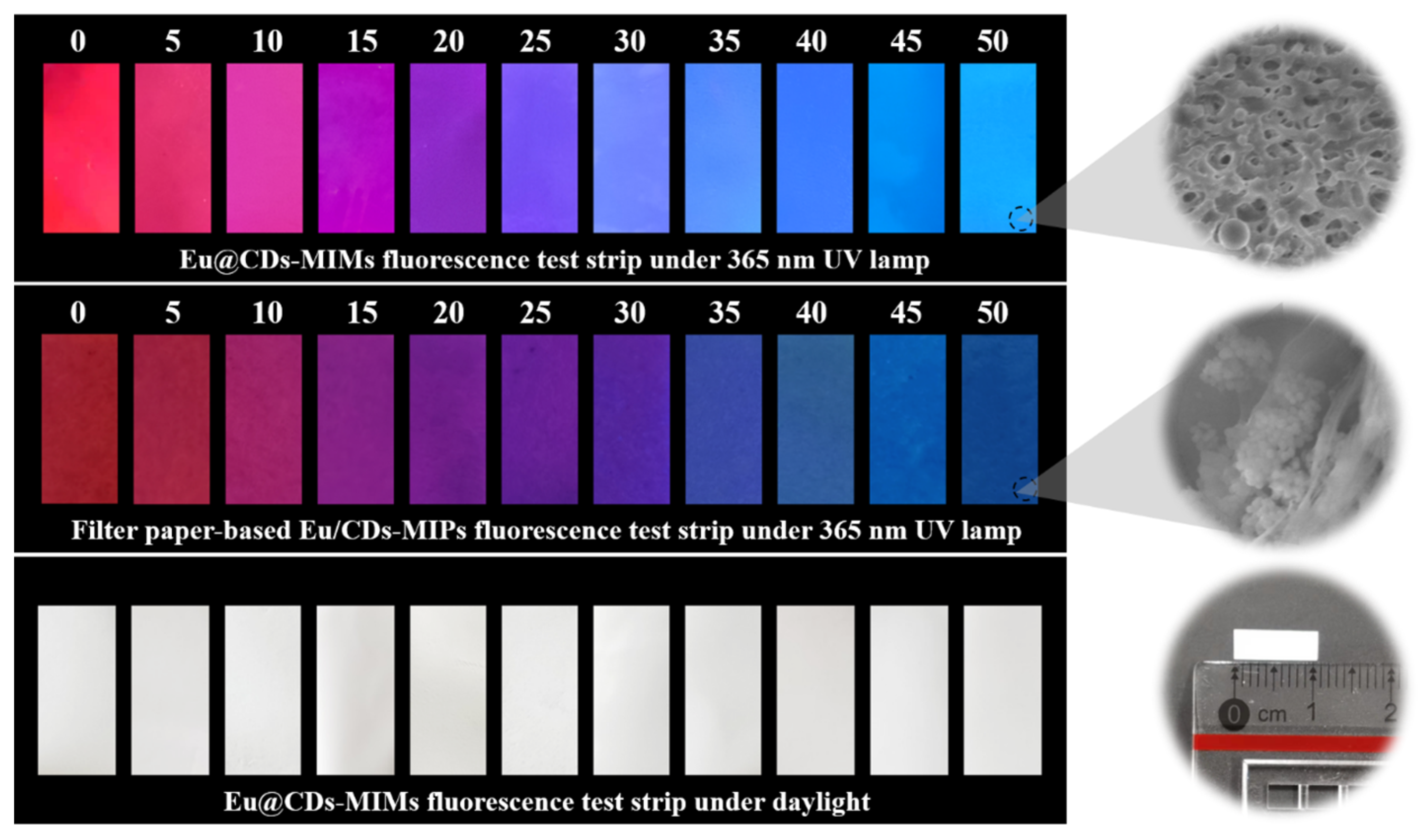Molecules 29 00661 g009