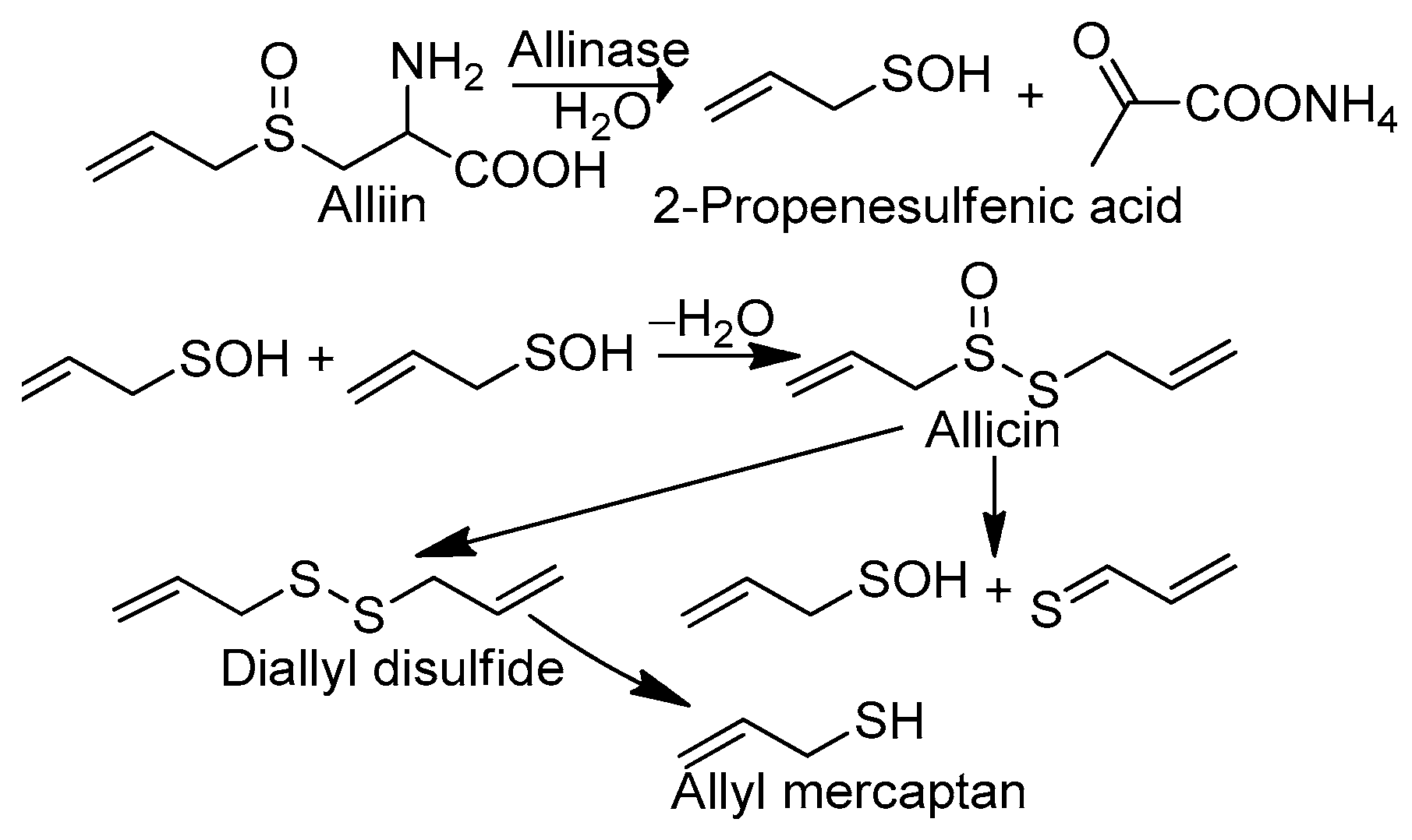 Molecules 29 00668 sch001