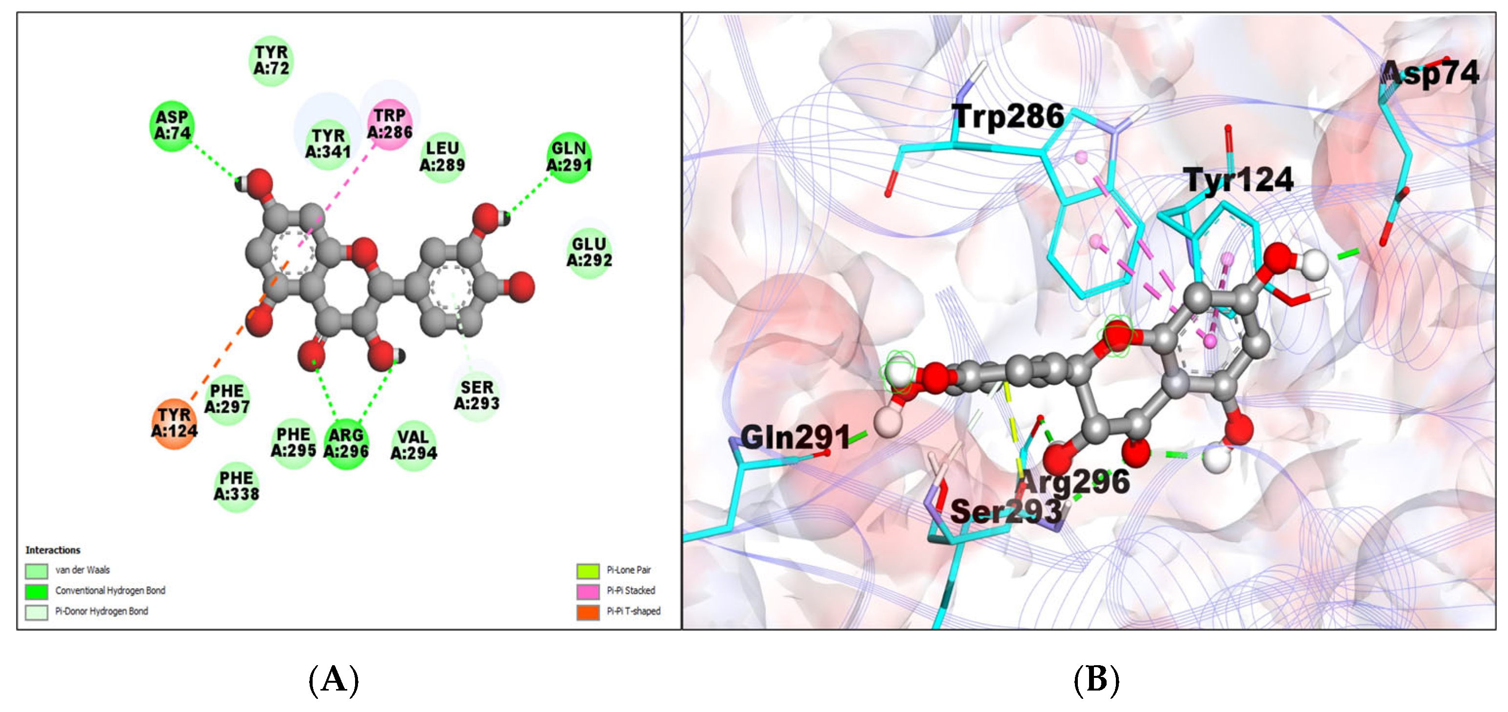 Molecules 29 00674 g002