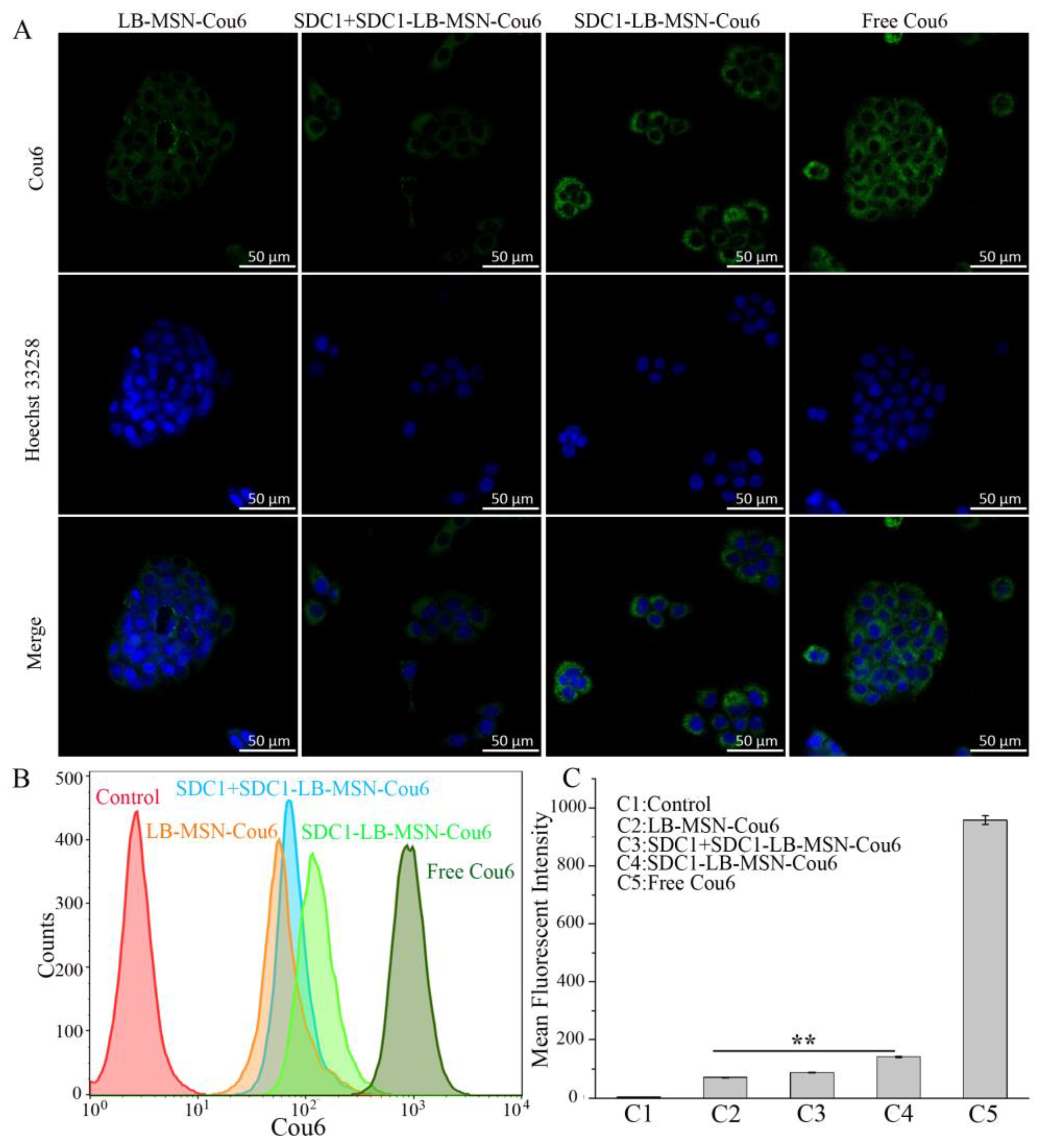 Molecules 29 00675 g002