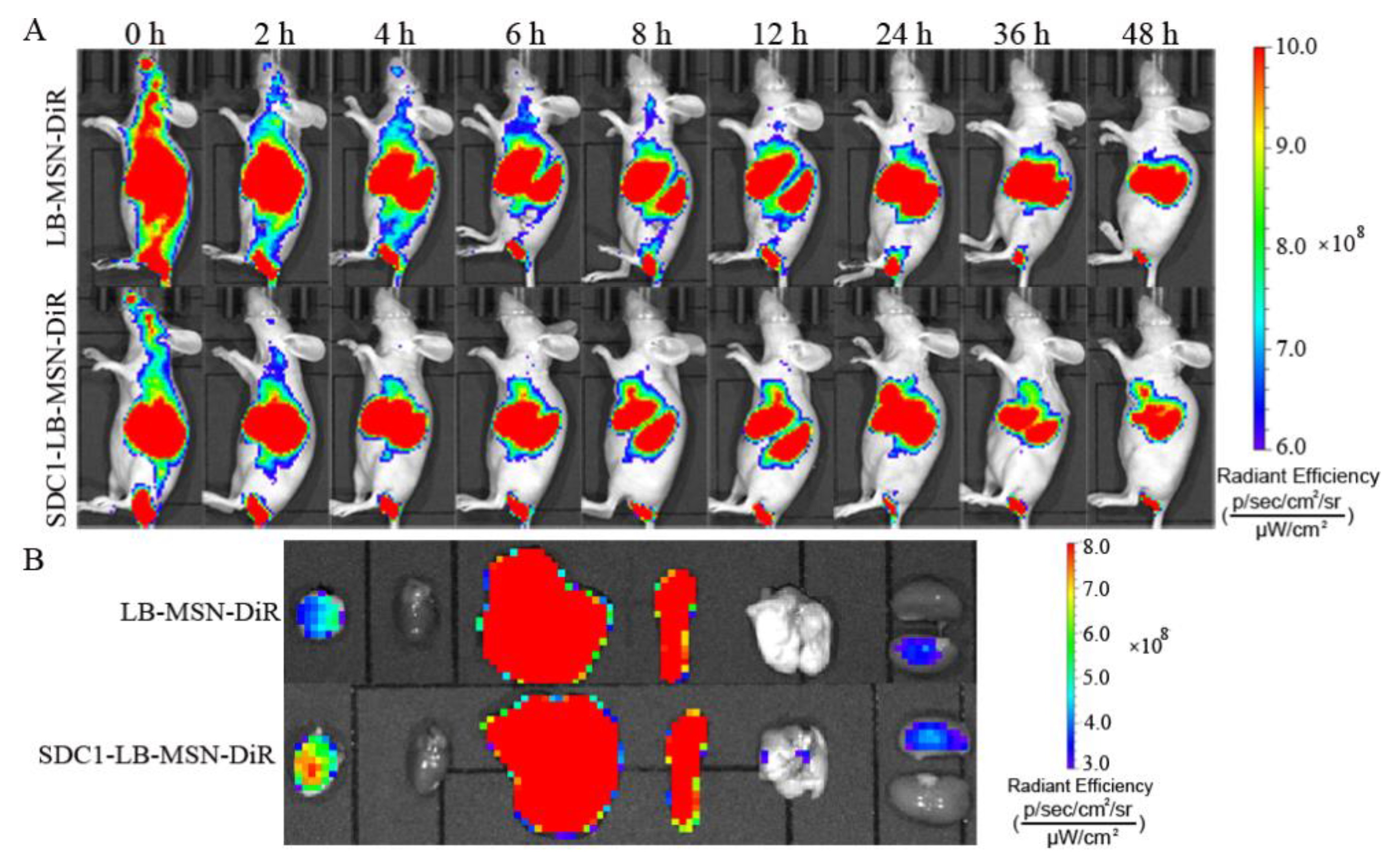 Molecules 29 00675 g005