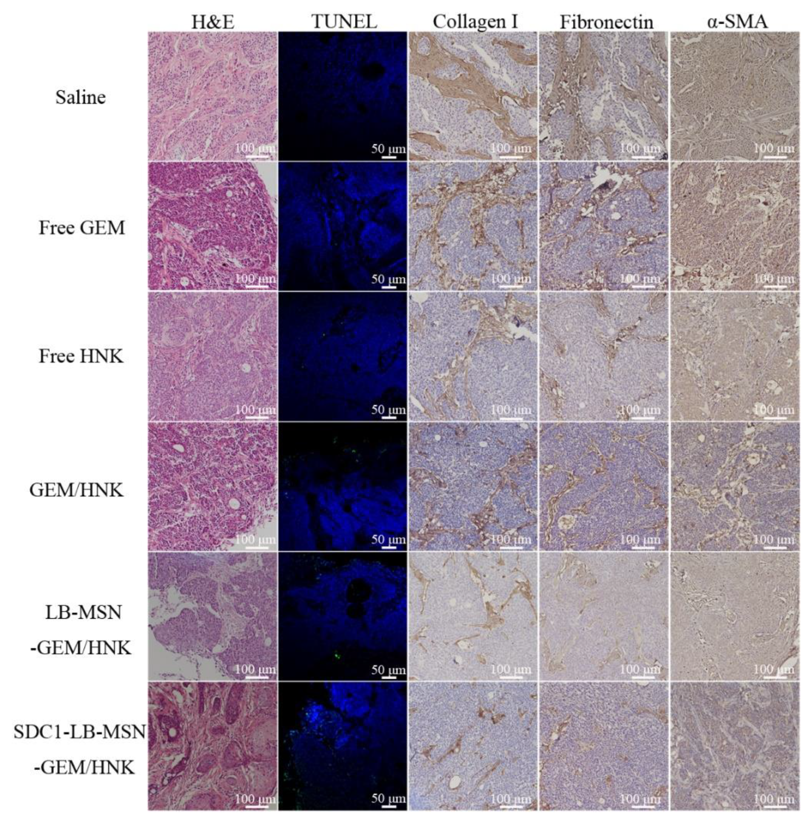 Molecules 29 00675 g007