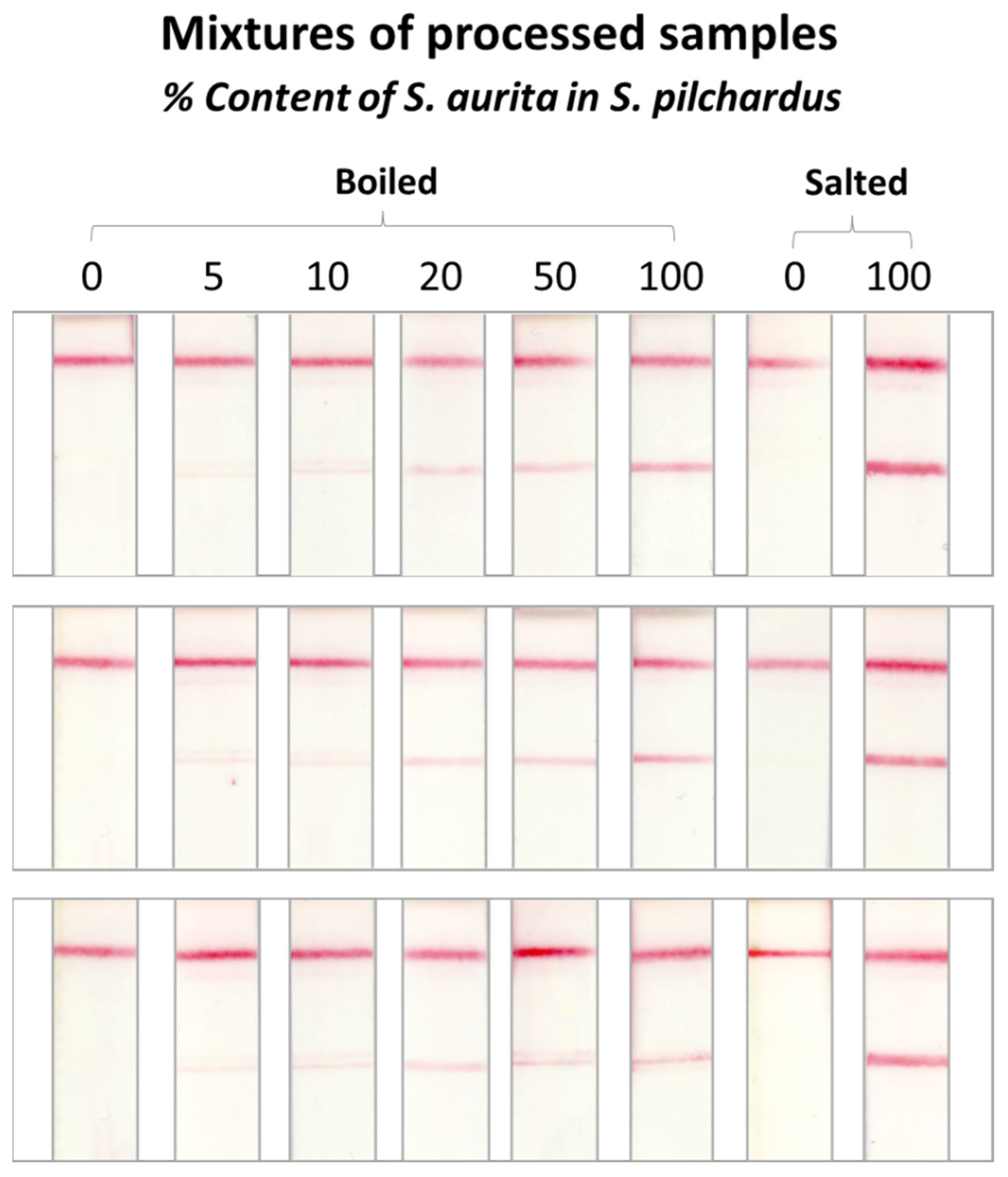 Molecules 29 00677 g006