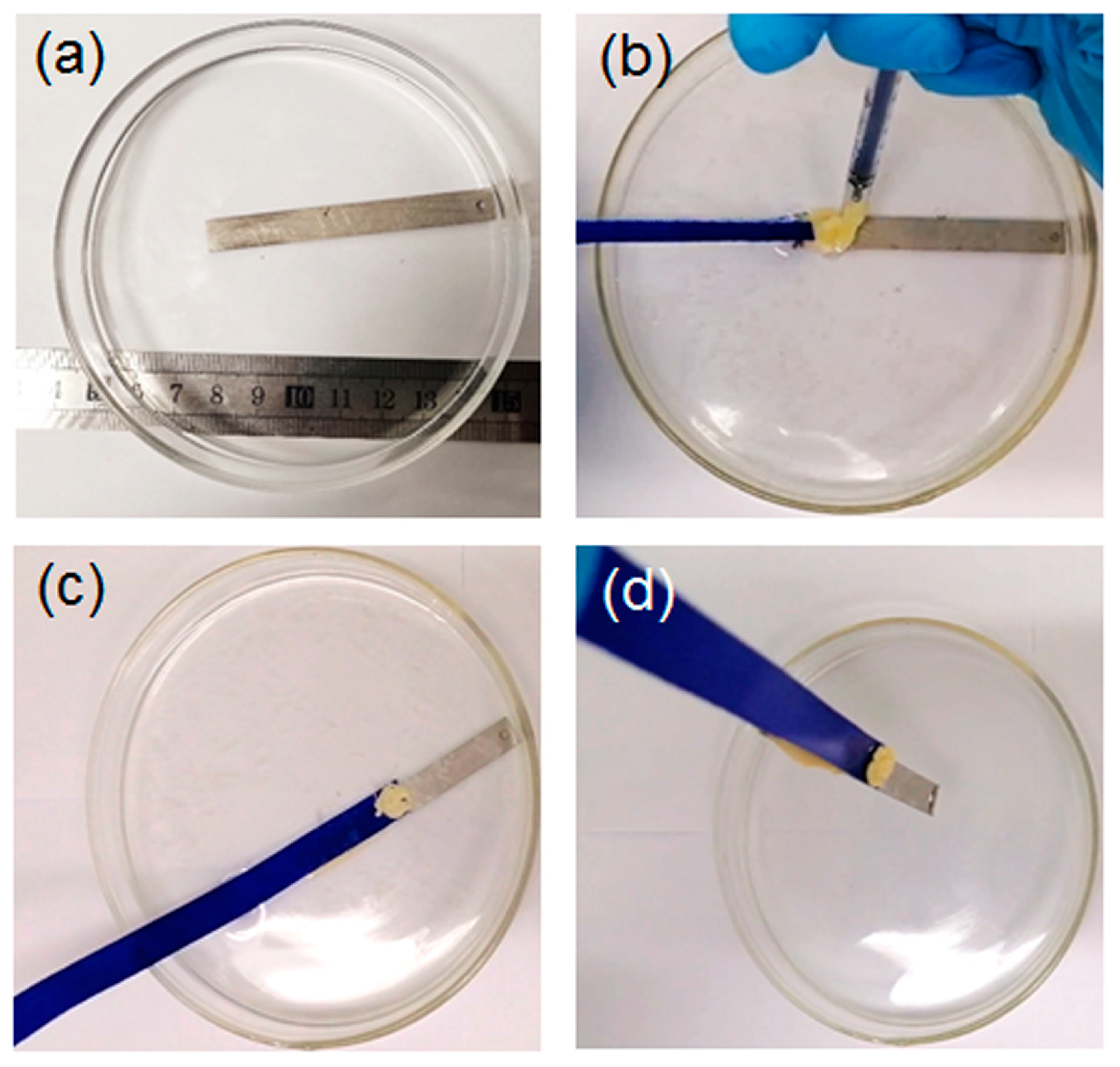 Molecules 29 00681 g003