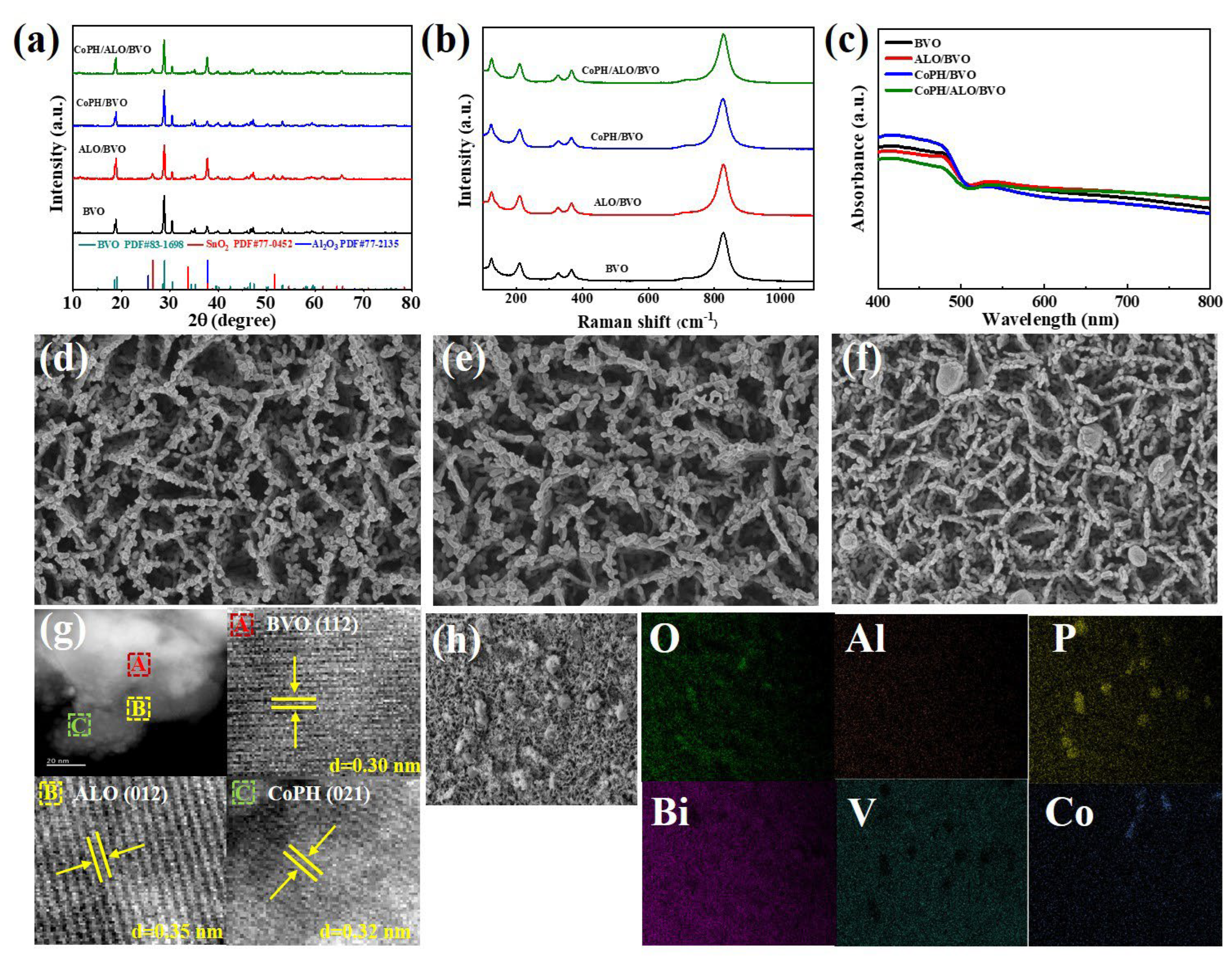 Molecules 29 00683 g002