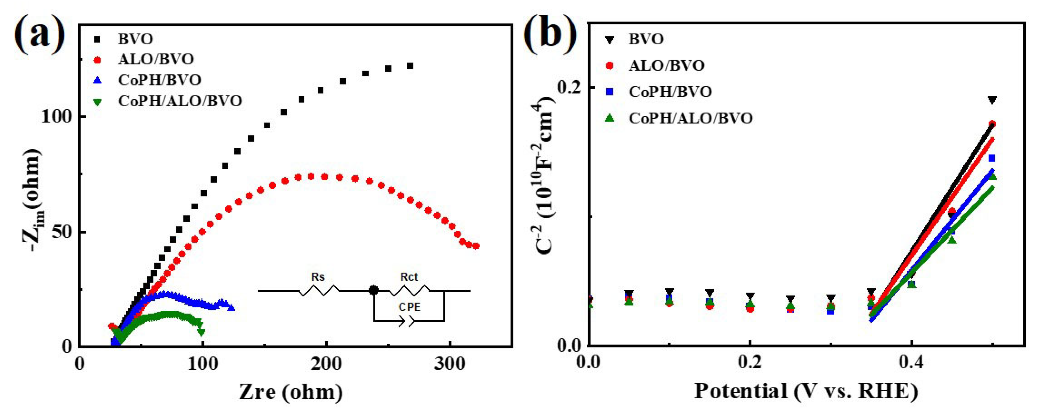 Molecules 29 00683 g005