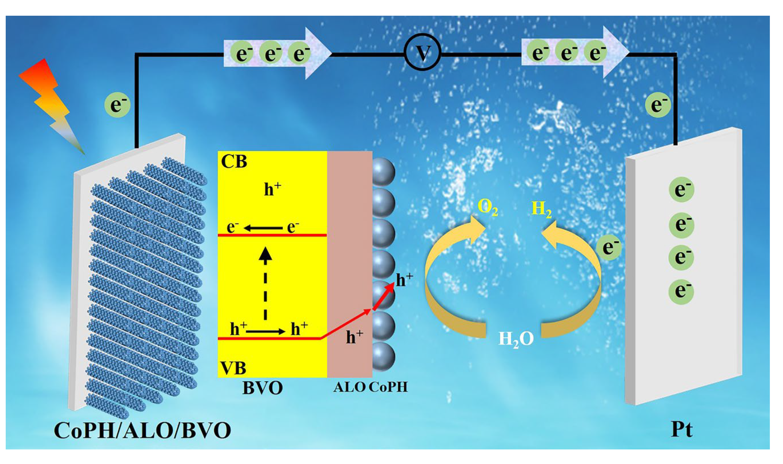 Molecules 29 00683 g006
