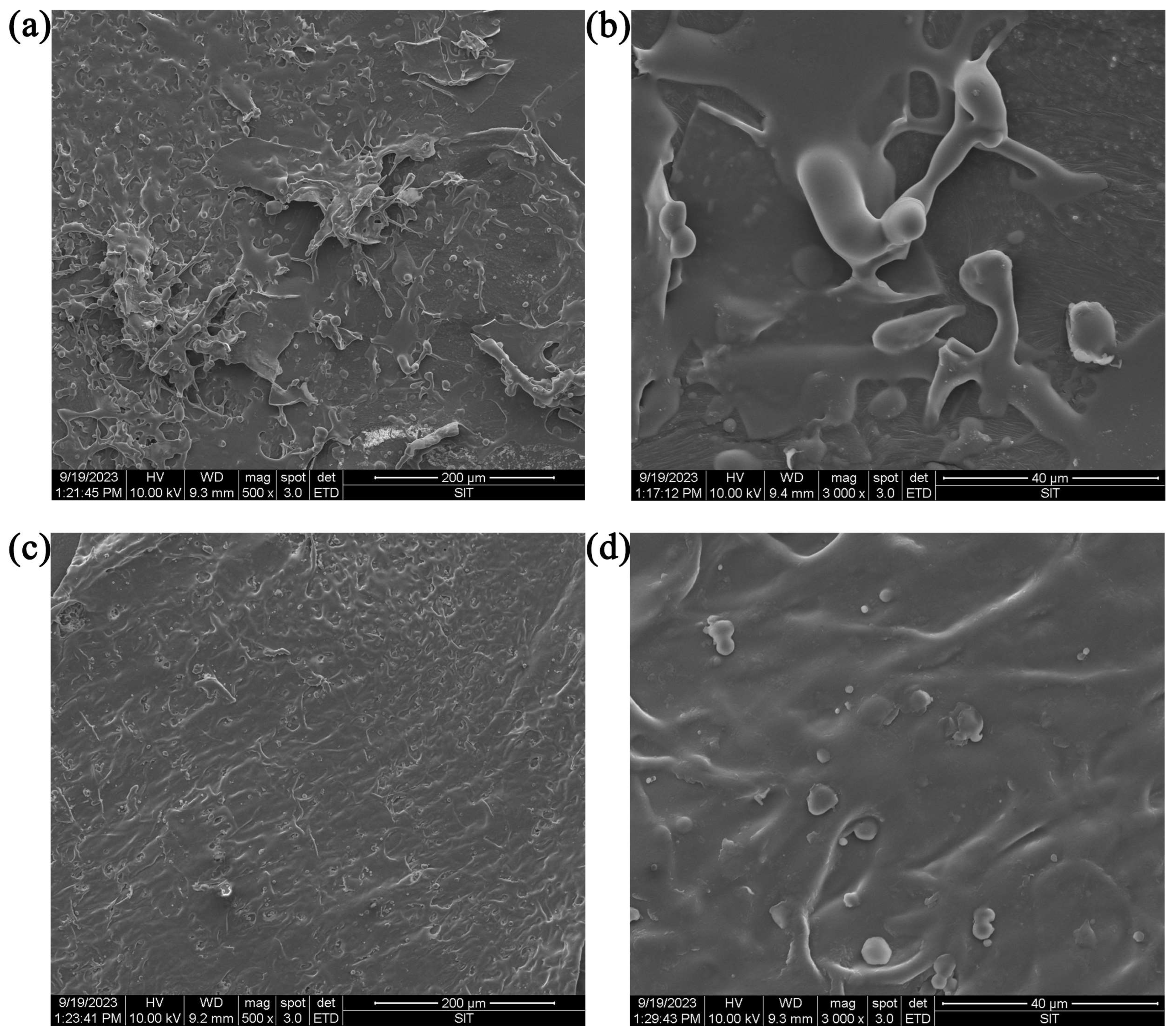 Molecules 29 00684 g005
