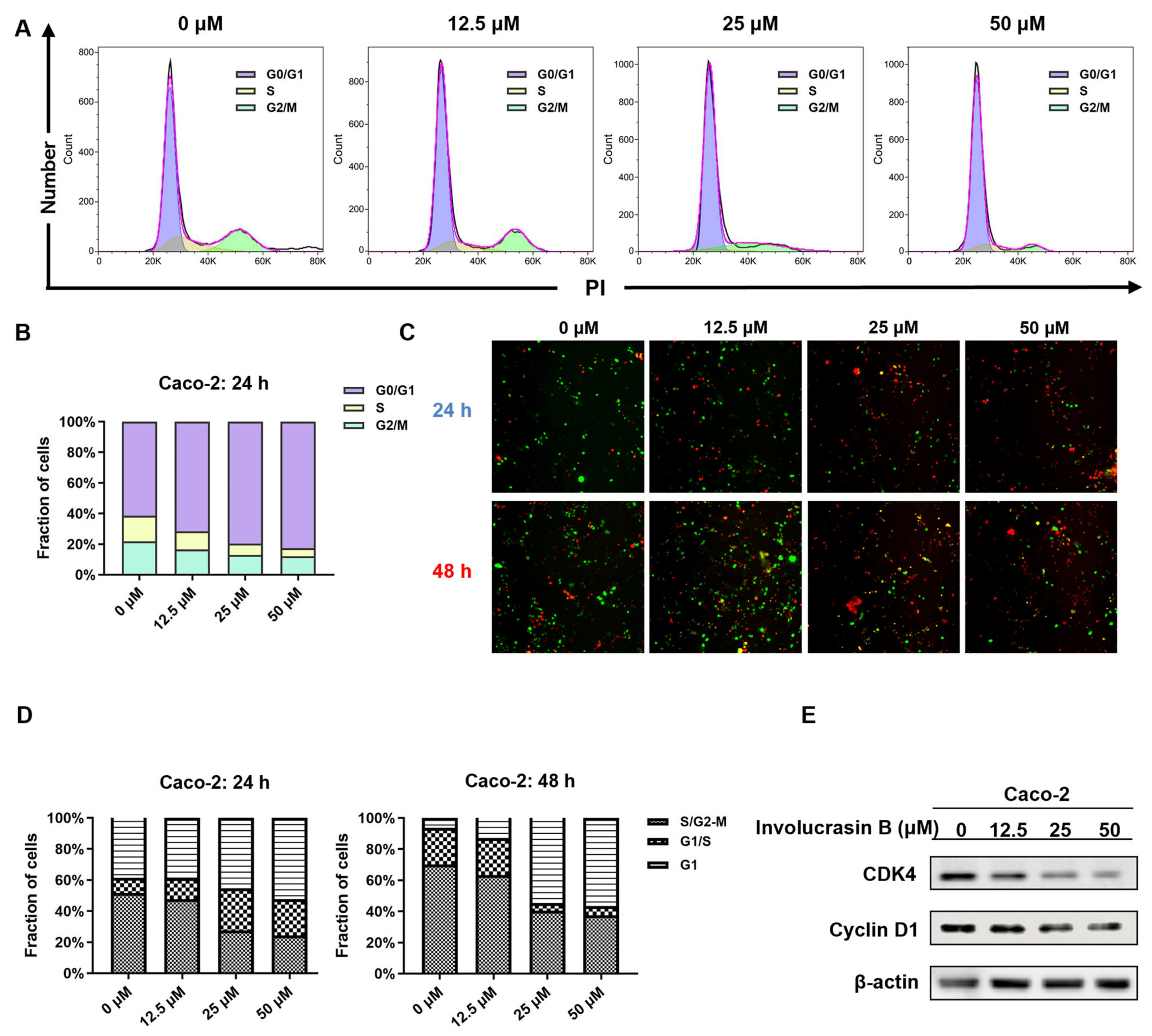 Molecules 29 00686 g002