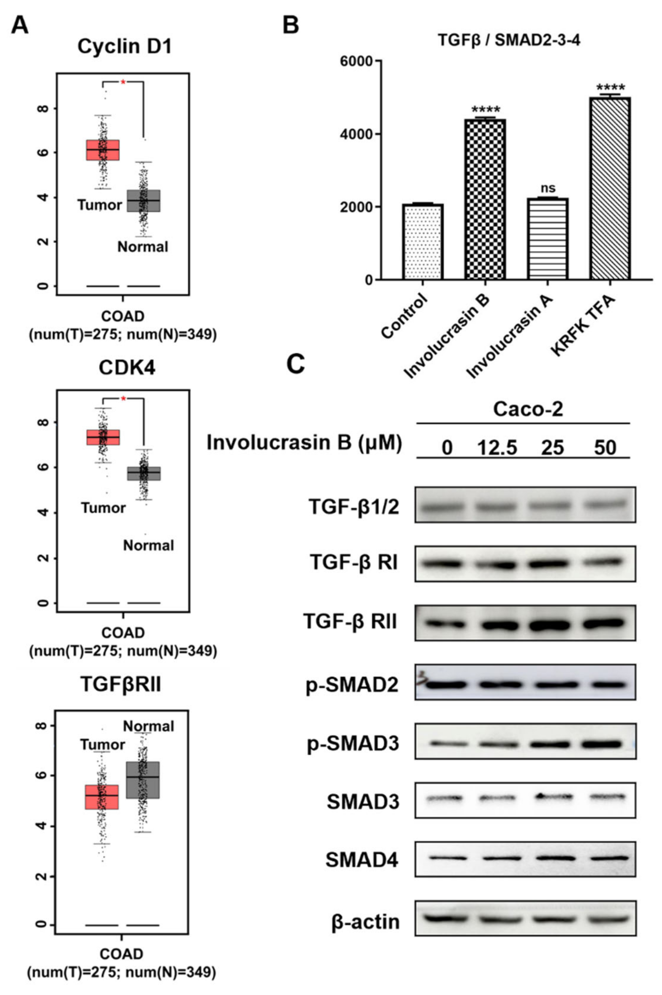 Molecules 29 00686 g003