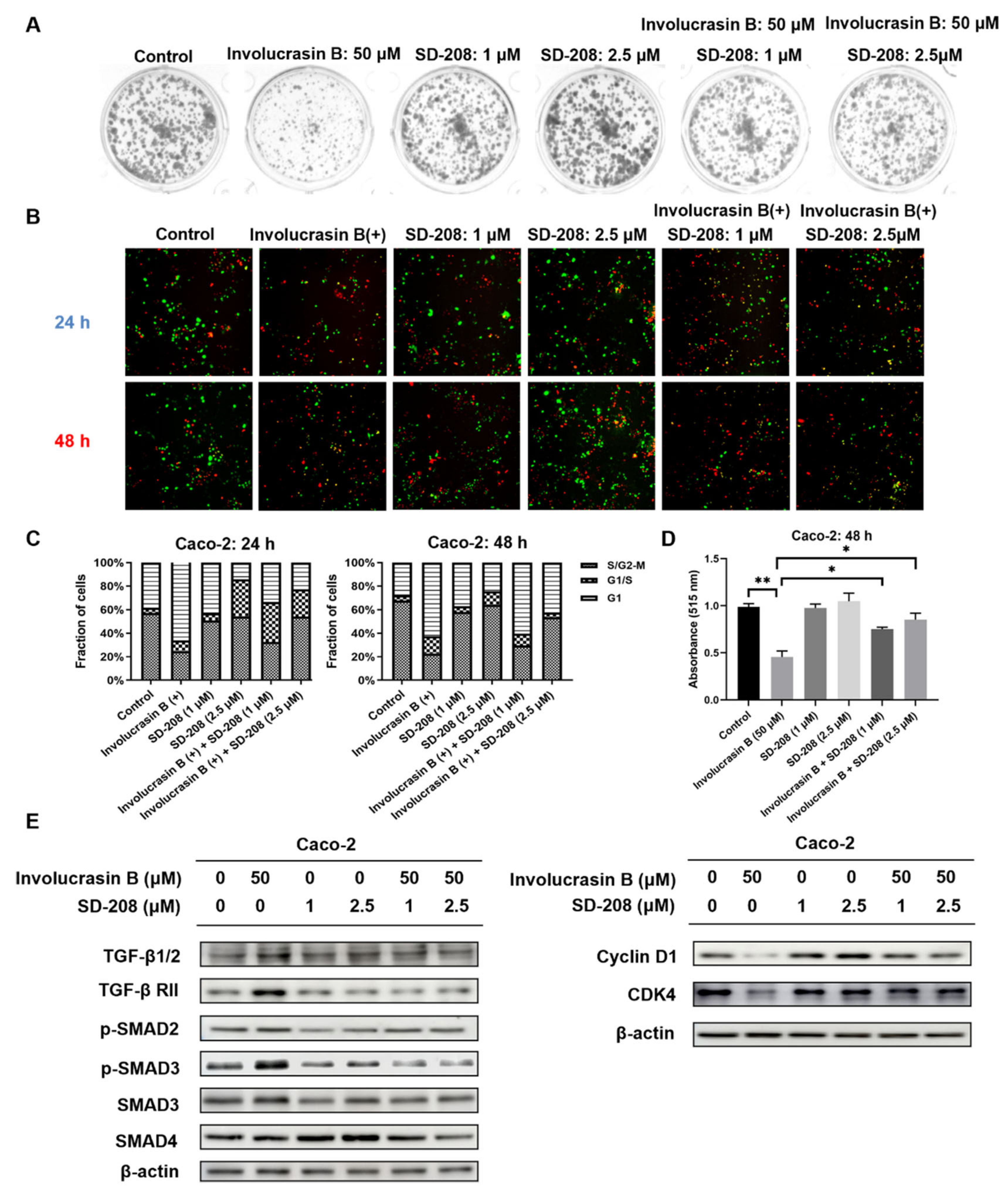 Molecules 29 00686 g004