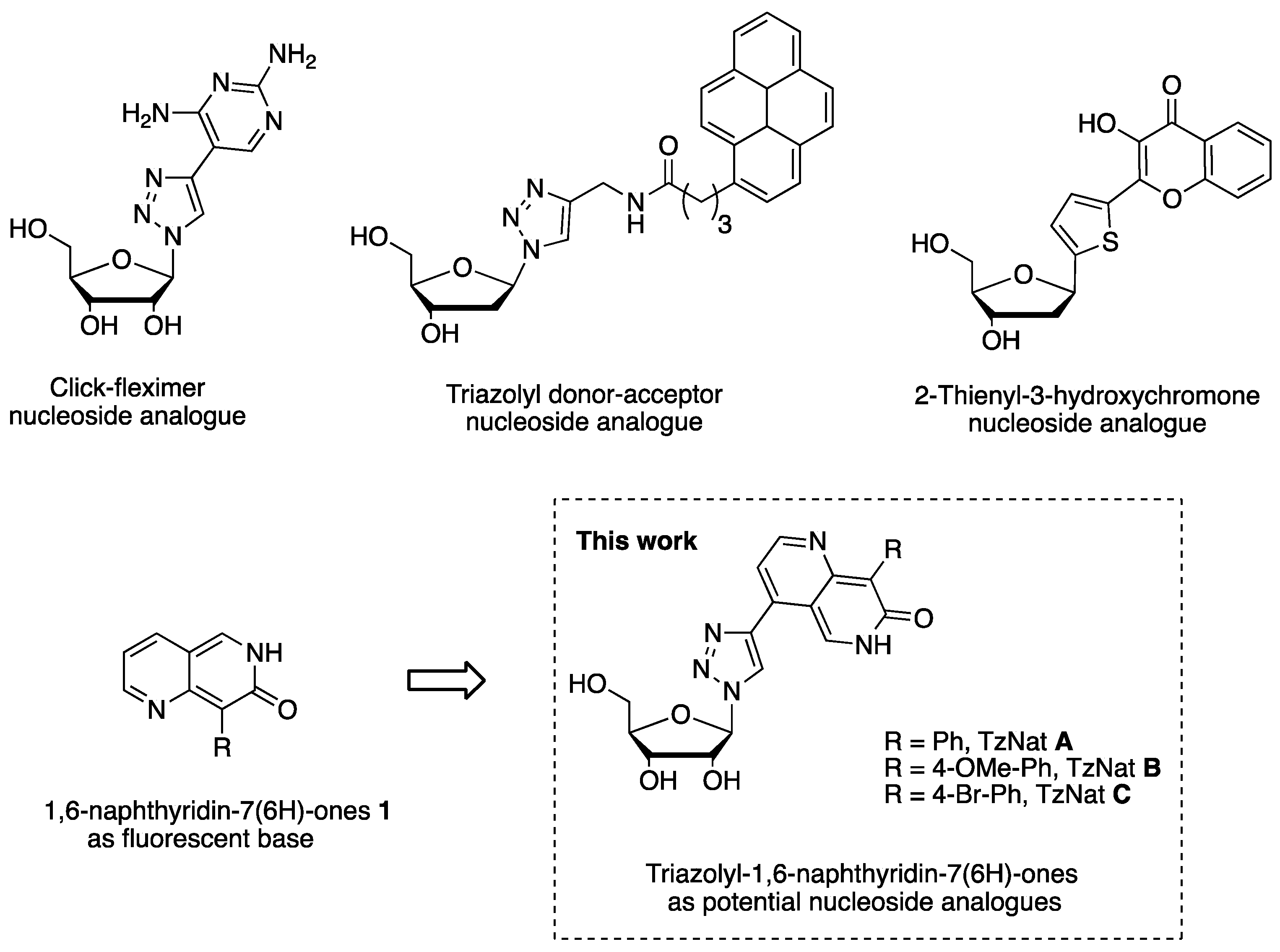Molecules 29 00687 g001