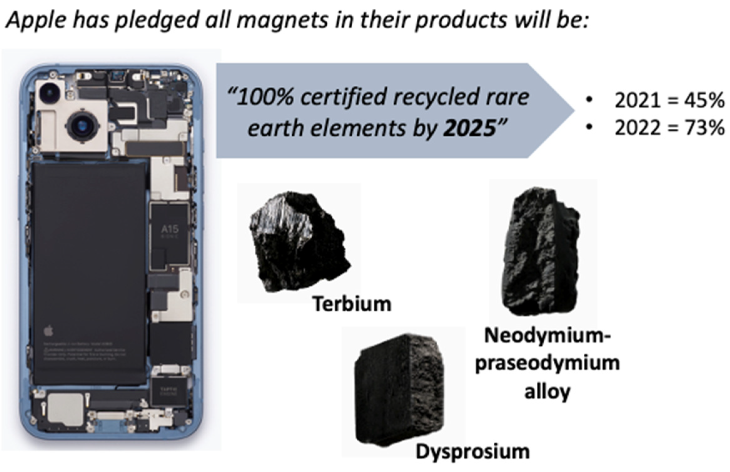 Molecules 29 00688 g004