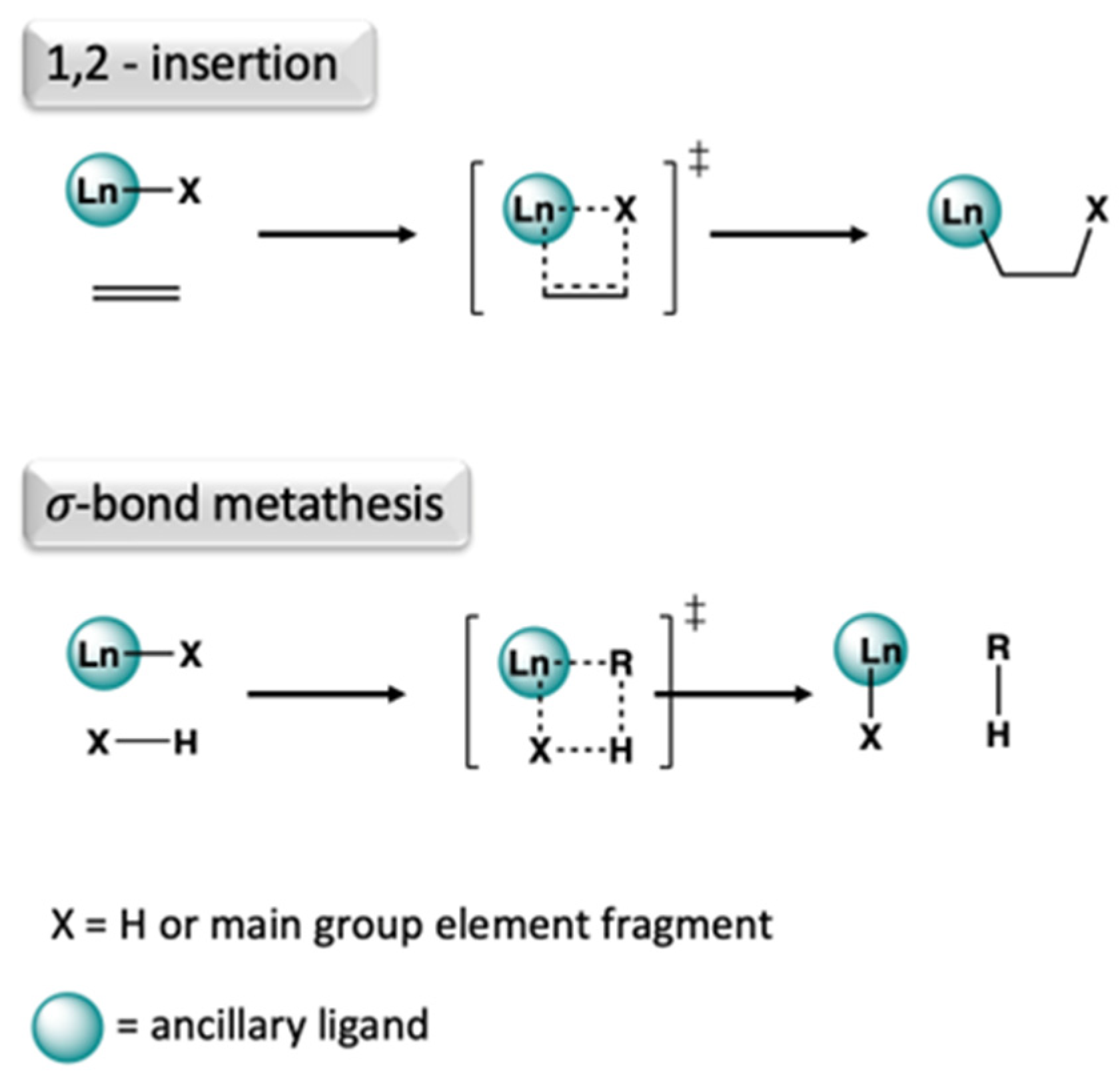 Molecules 29 00688 sch002